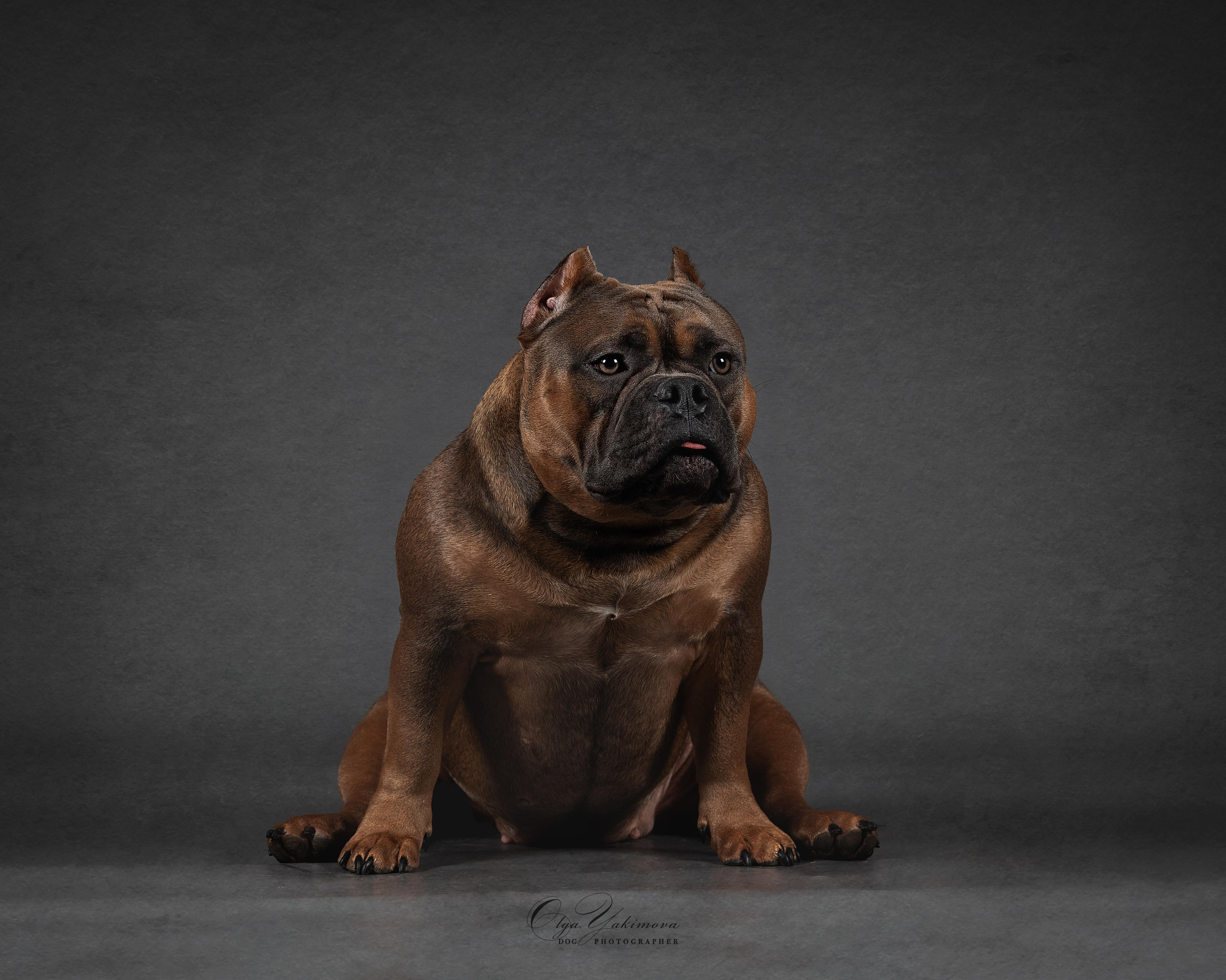 Булочки. Фотограф