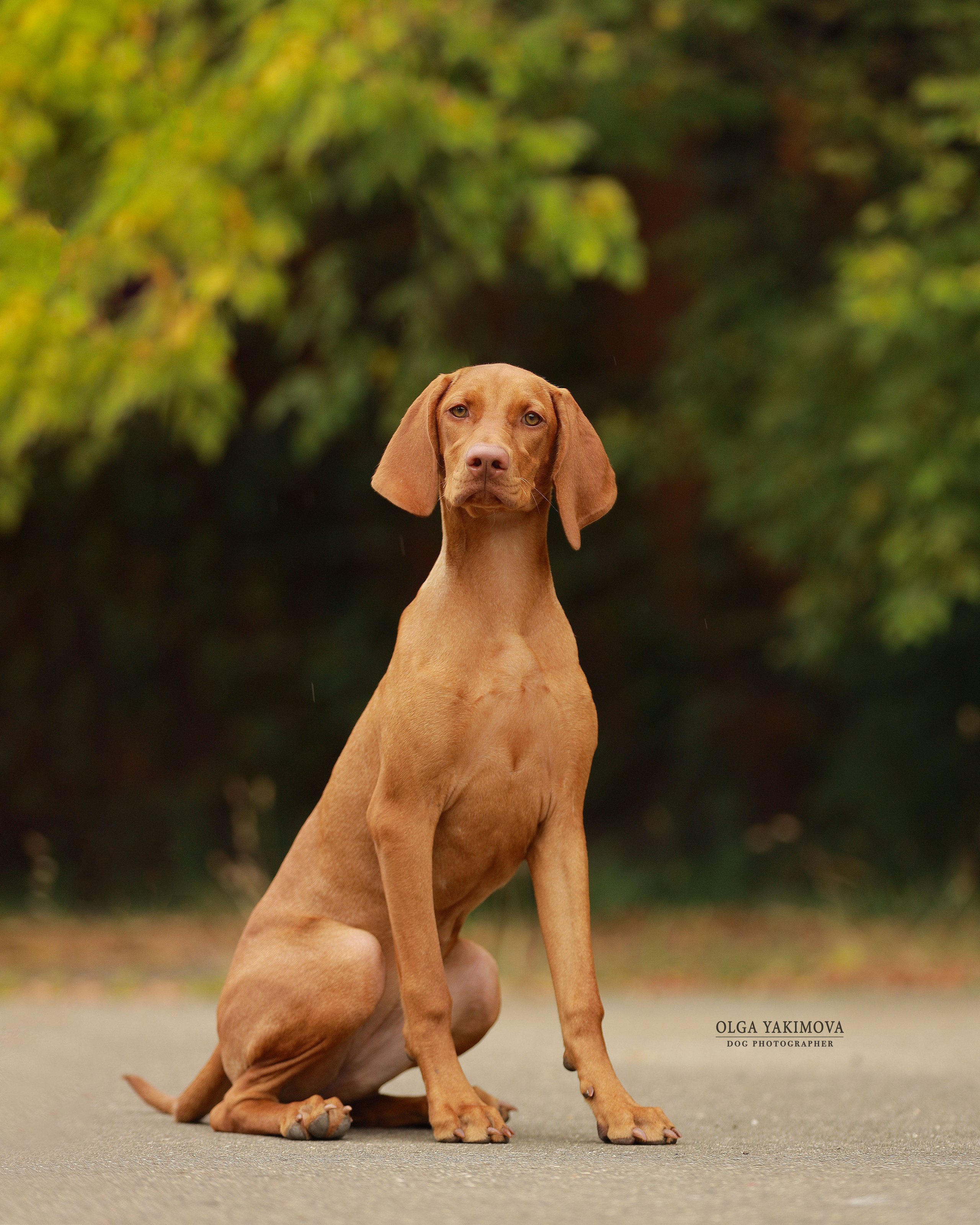 Экстерьер. Фотограф