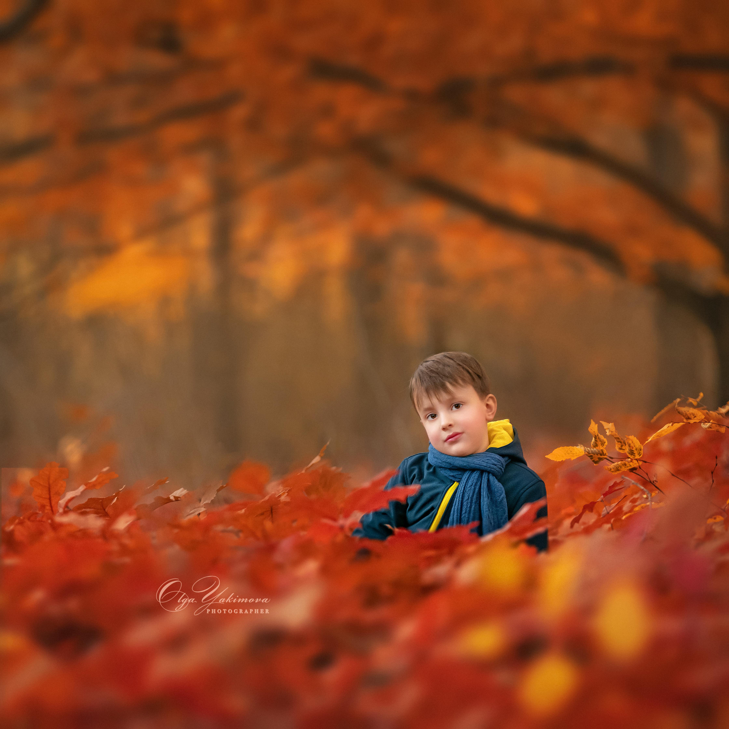 Елена...... Фотограф