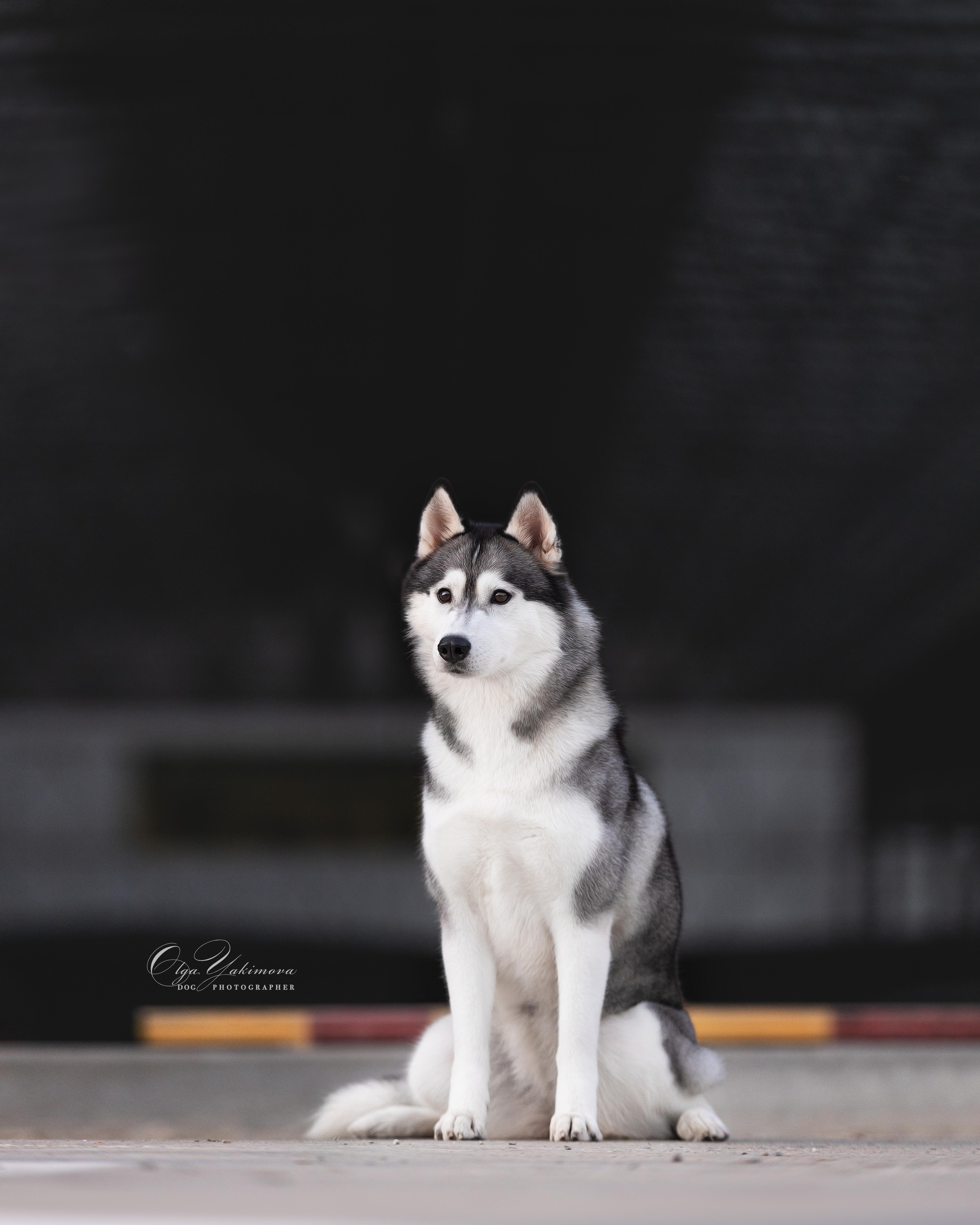 Экстерьер. Фотограф