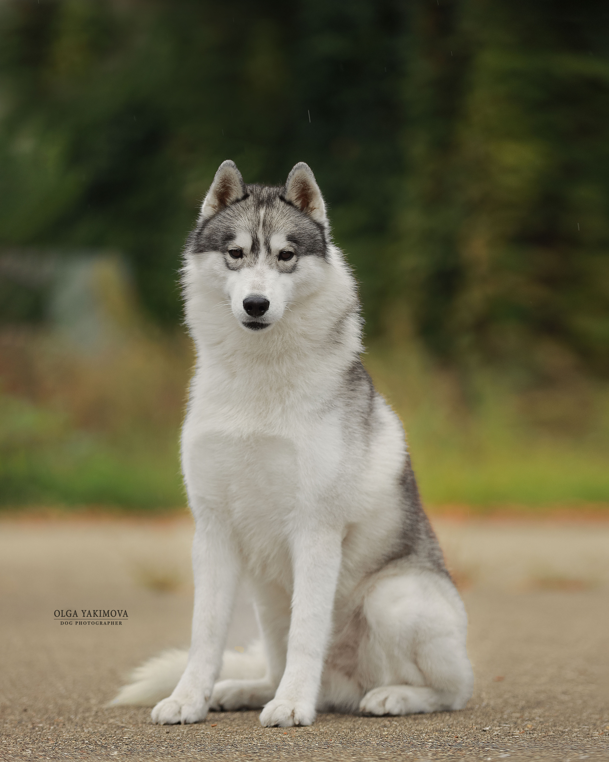 Экстерьер. Фотограф