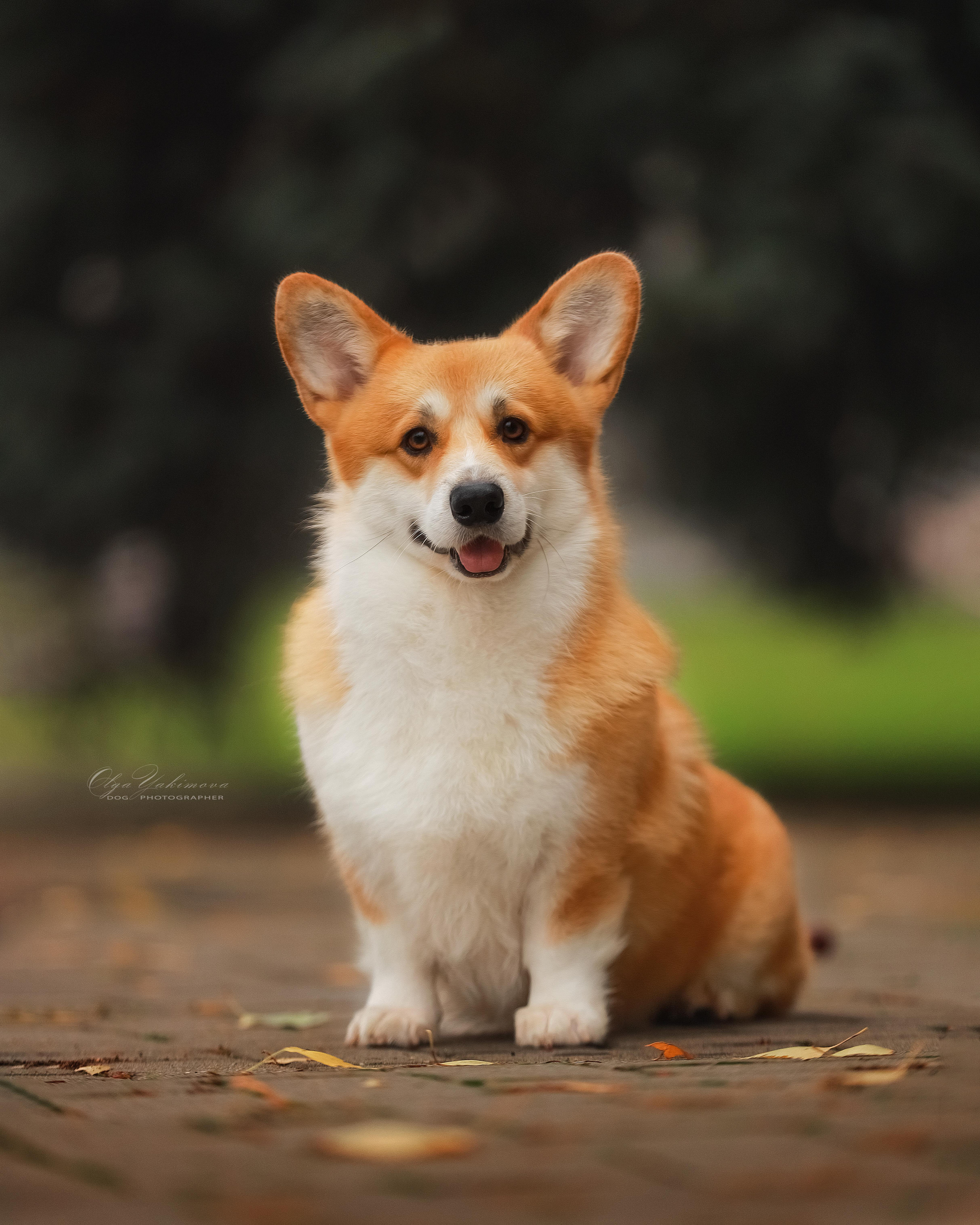 Экстерьер. Фотограф