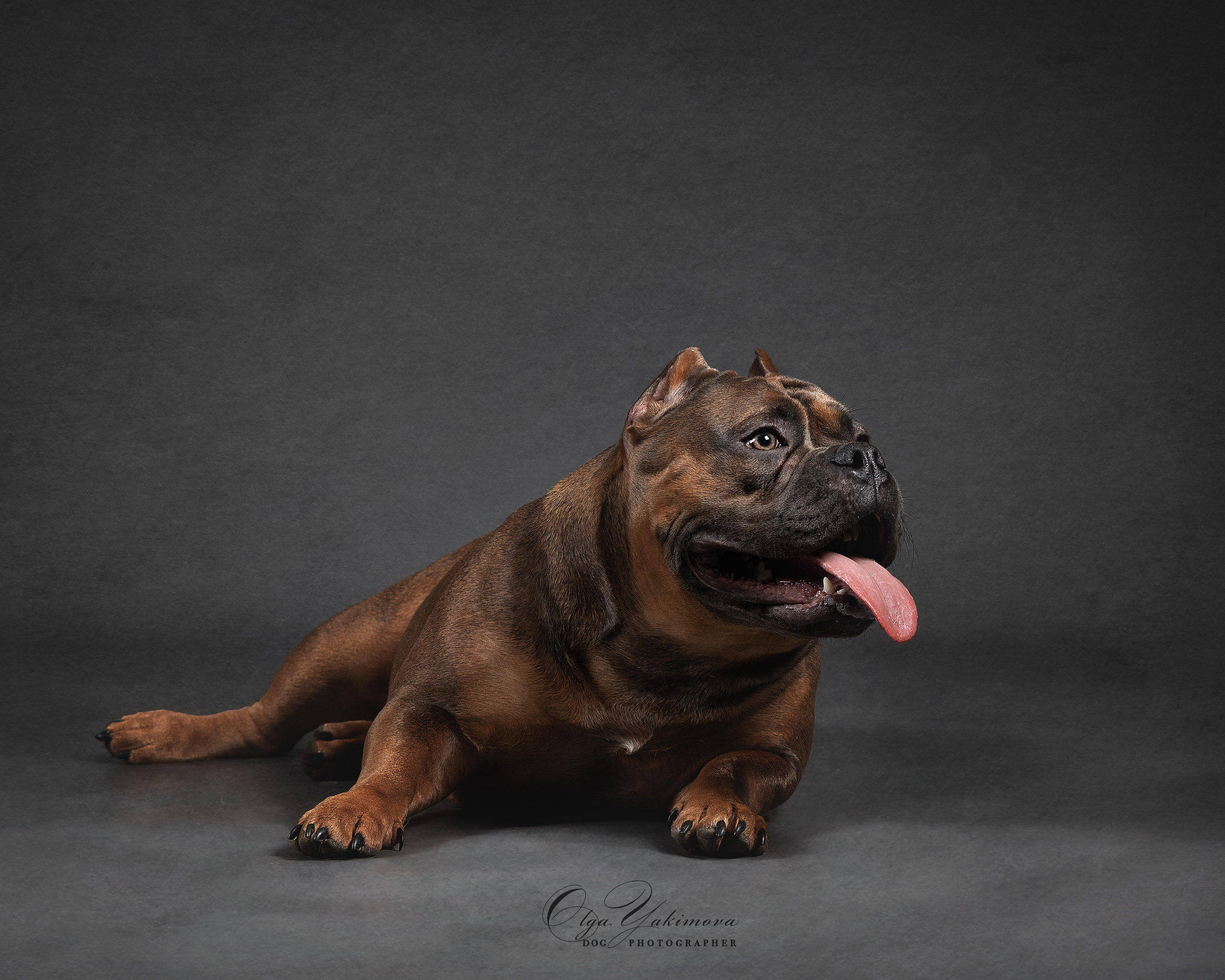 Булочки. Фотограф