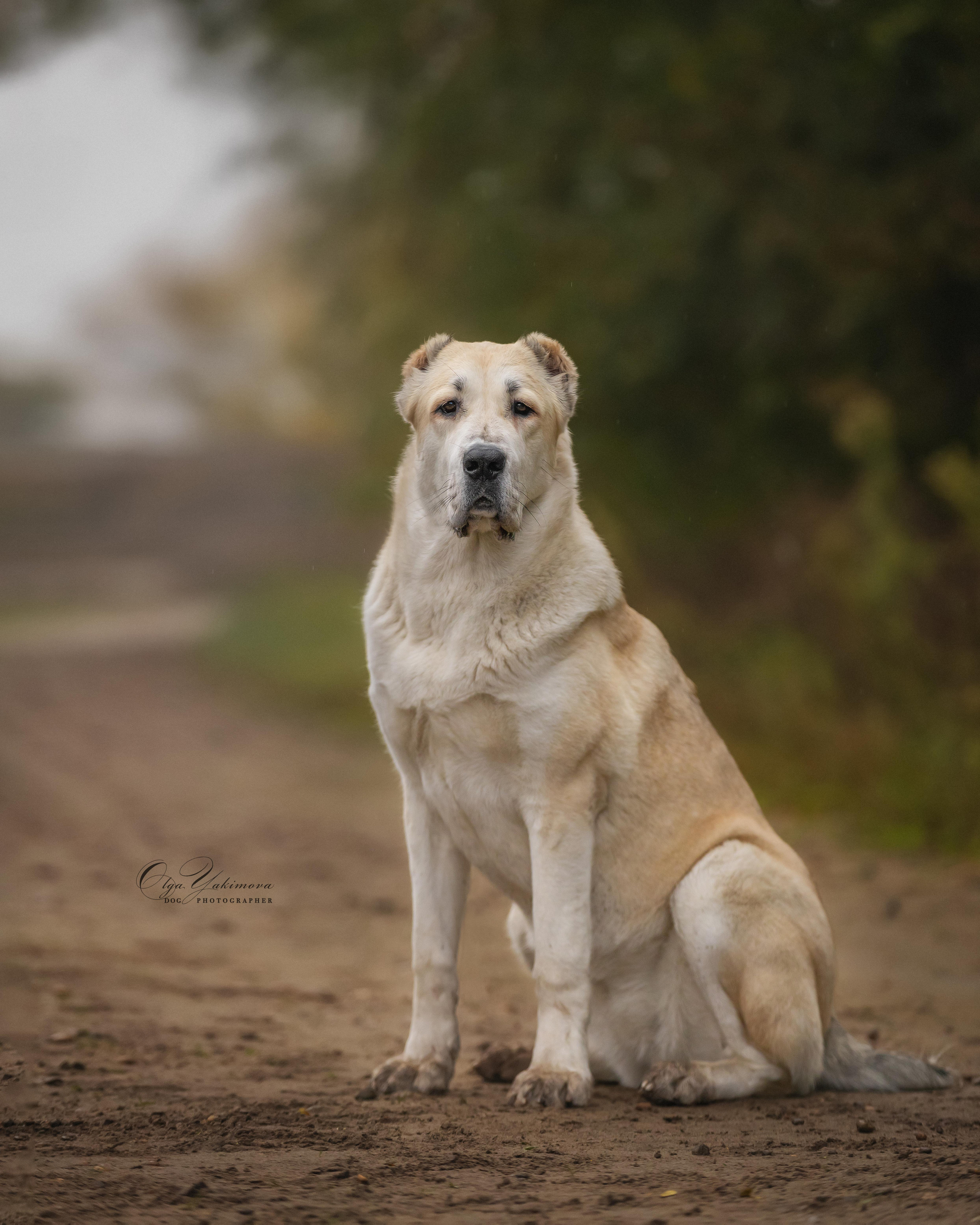 Экстерьер. Фотограф