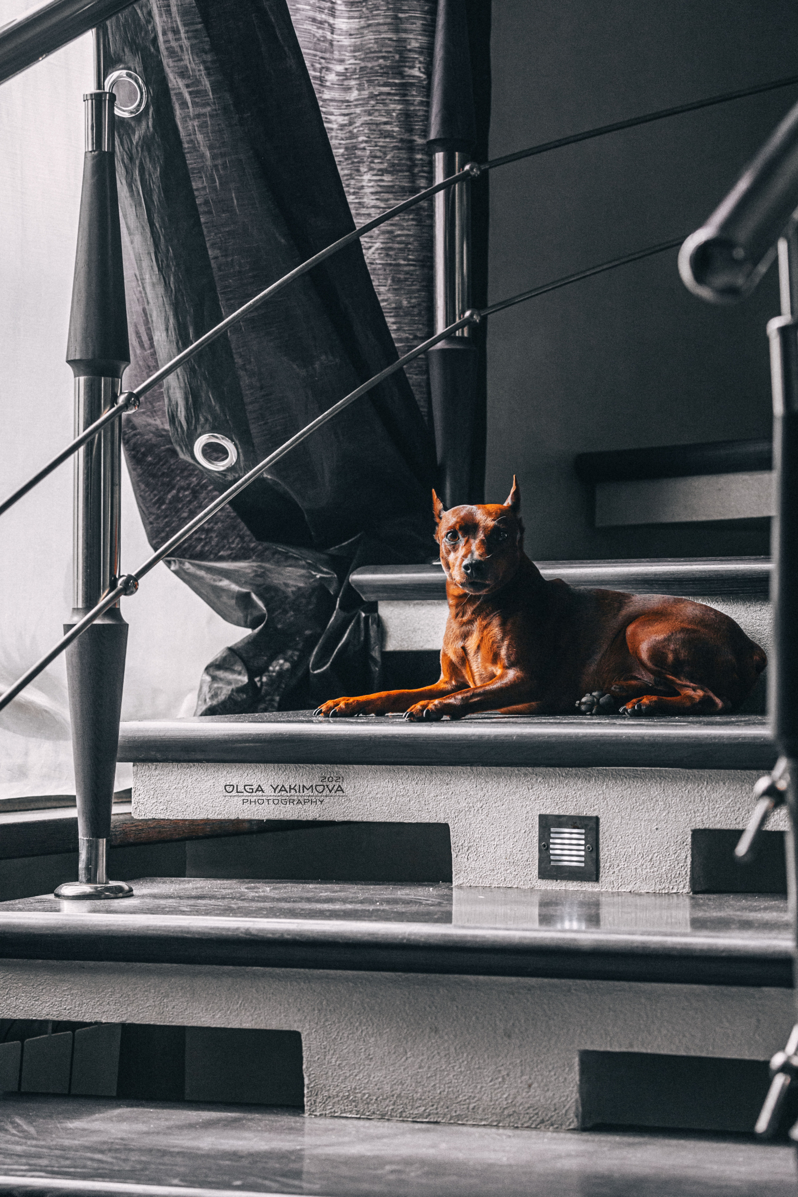 Брут и Аркад. Фотограф