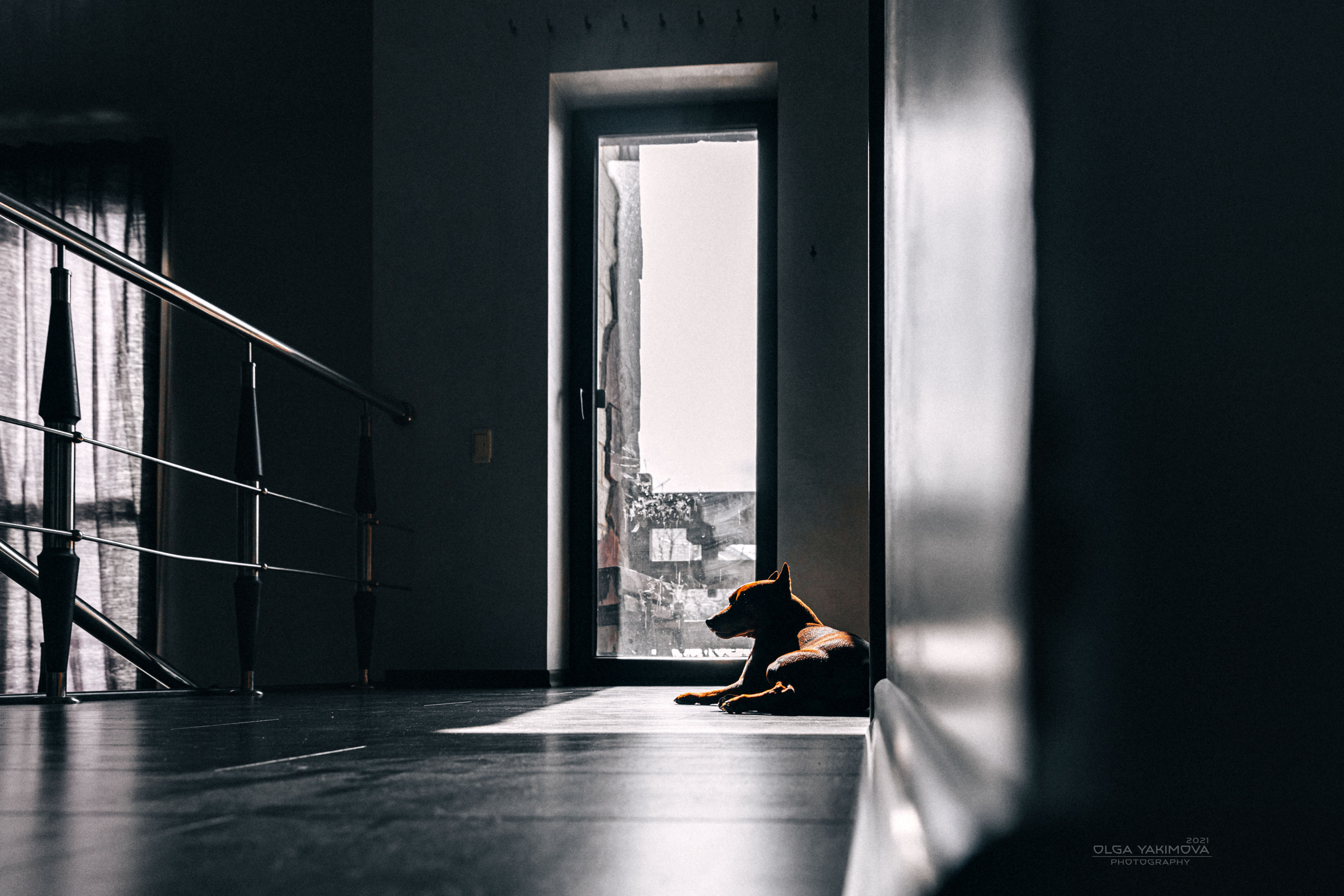 Брут и Аркад. Фотограф