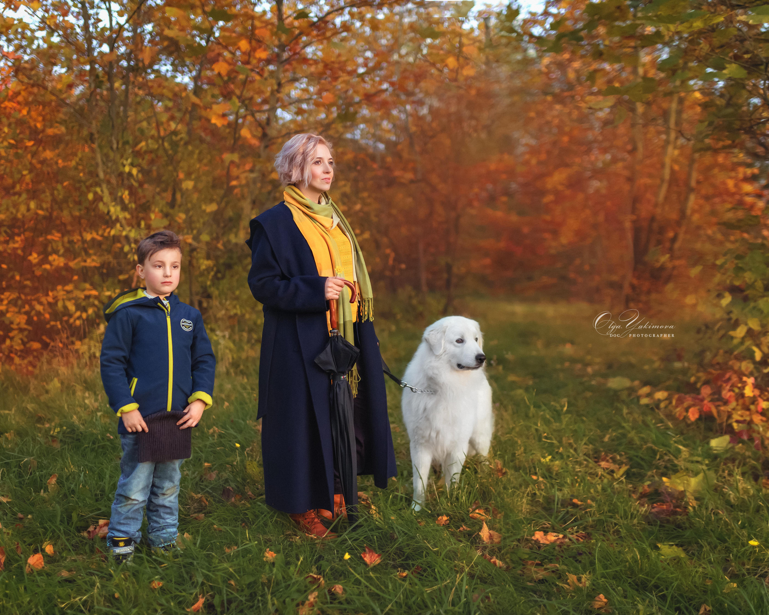Елена...... Фотограф
