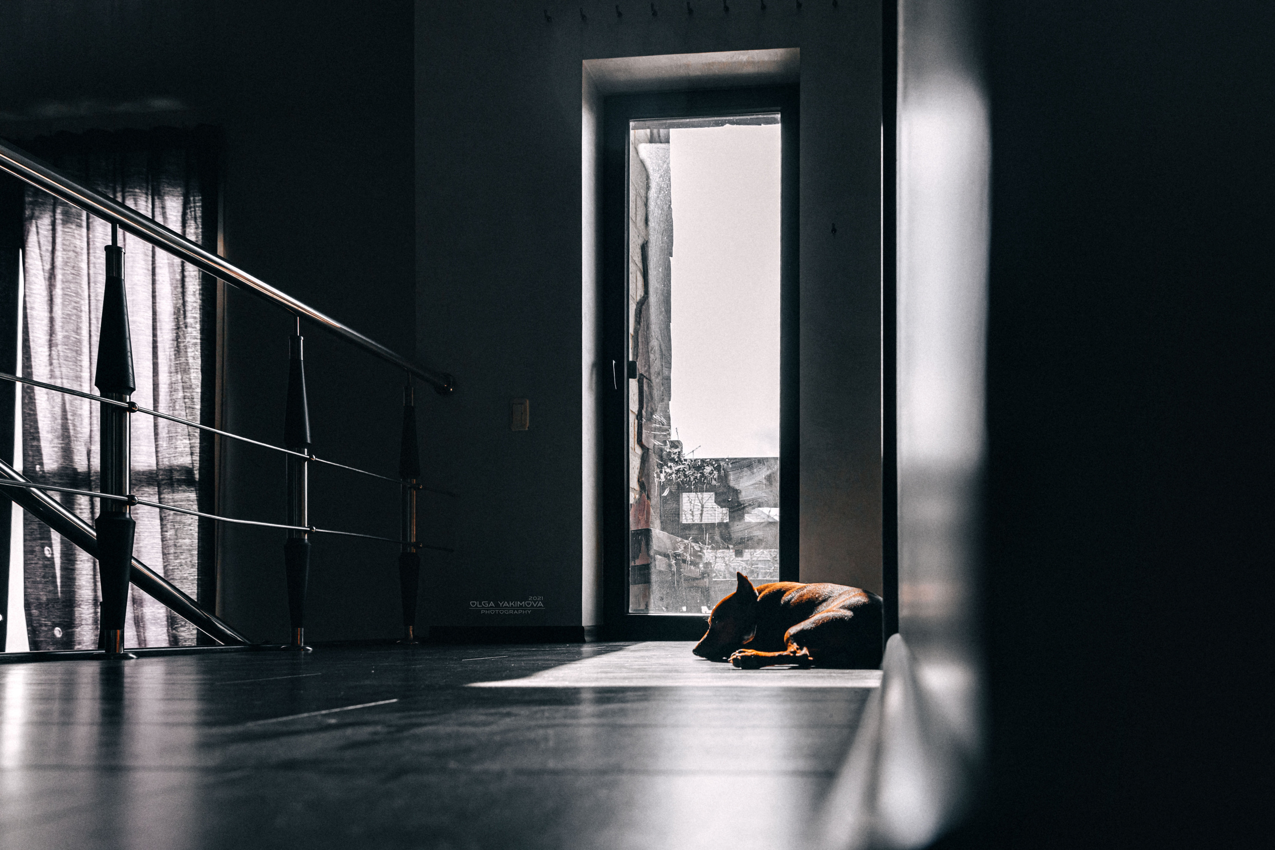 Брут и Аркад. Фотограф