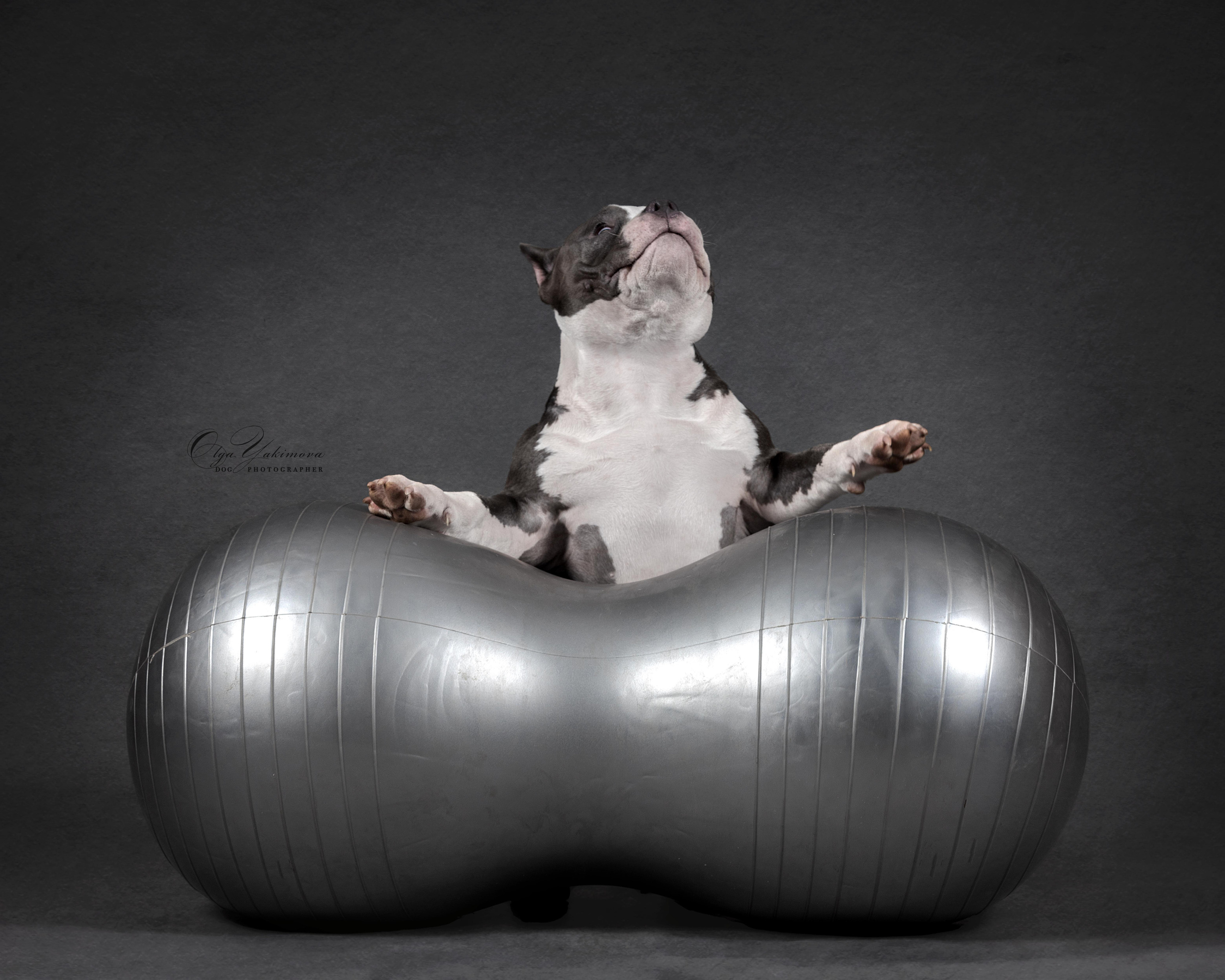 Булочки. Фотограф