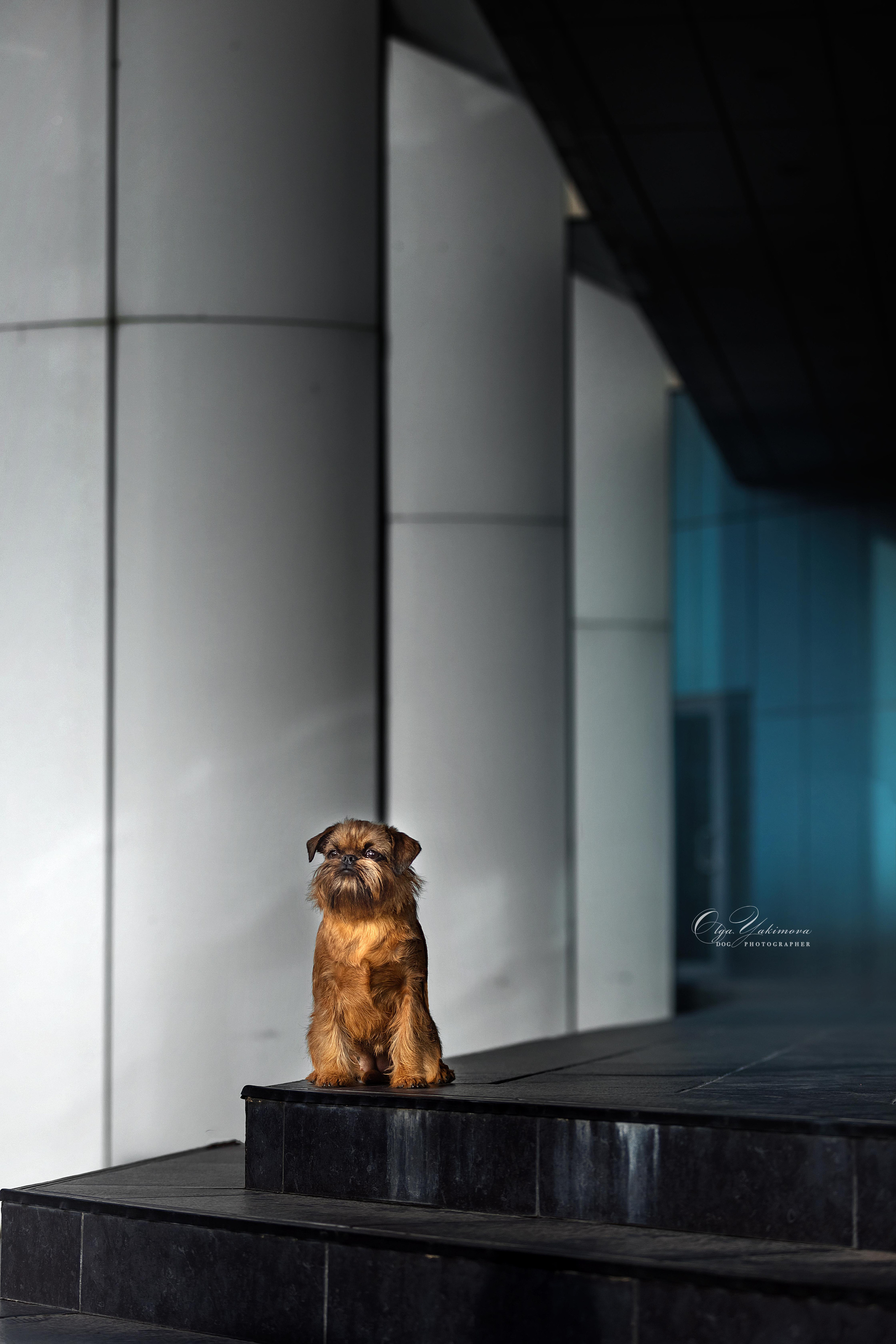 Экстерьер. Фотограф