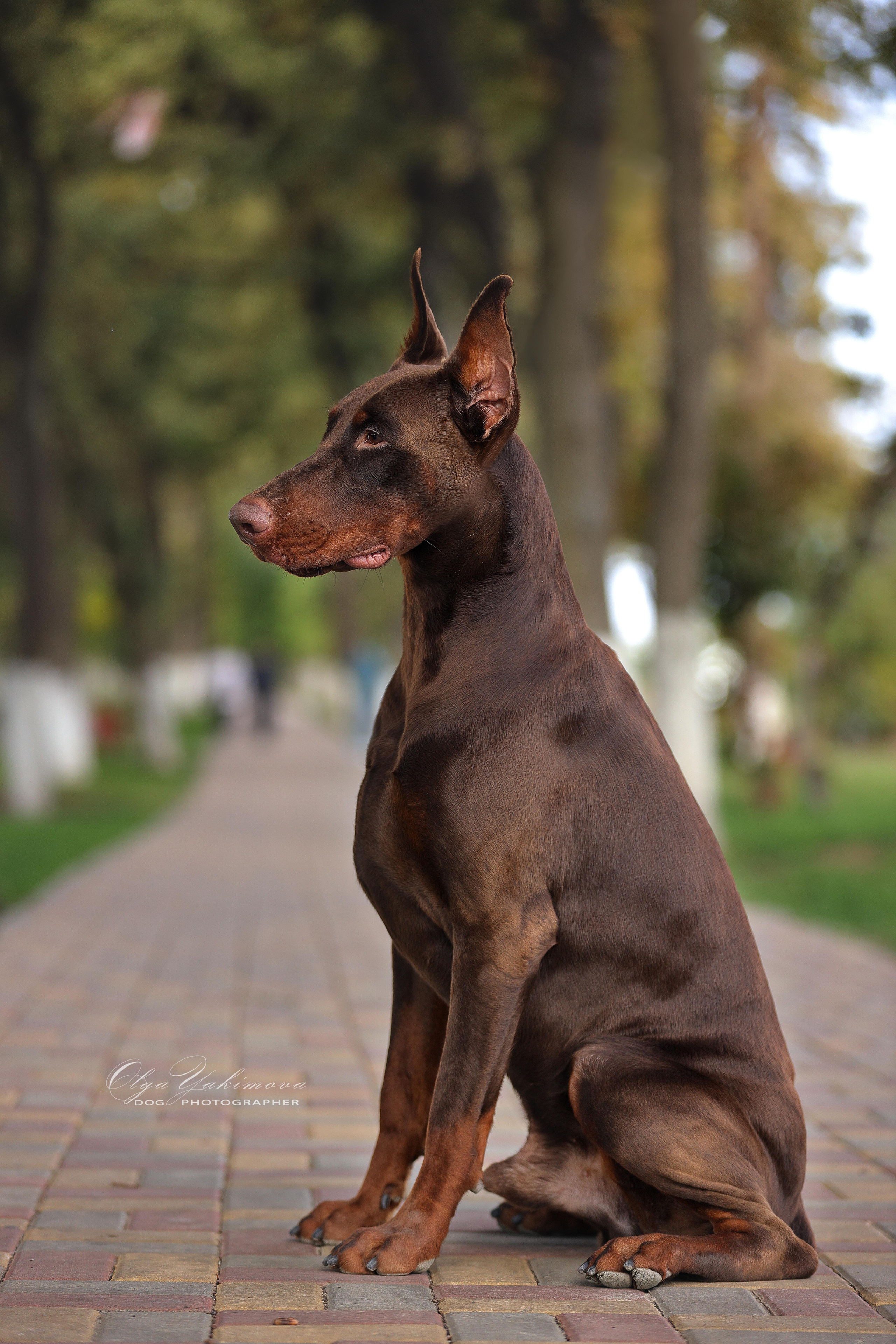 Экстерьер. Фотограф