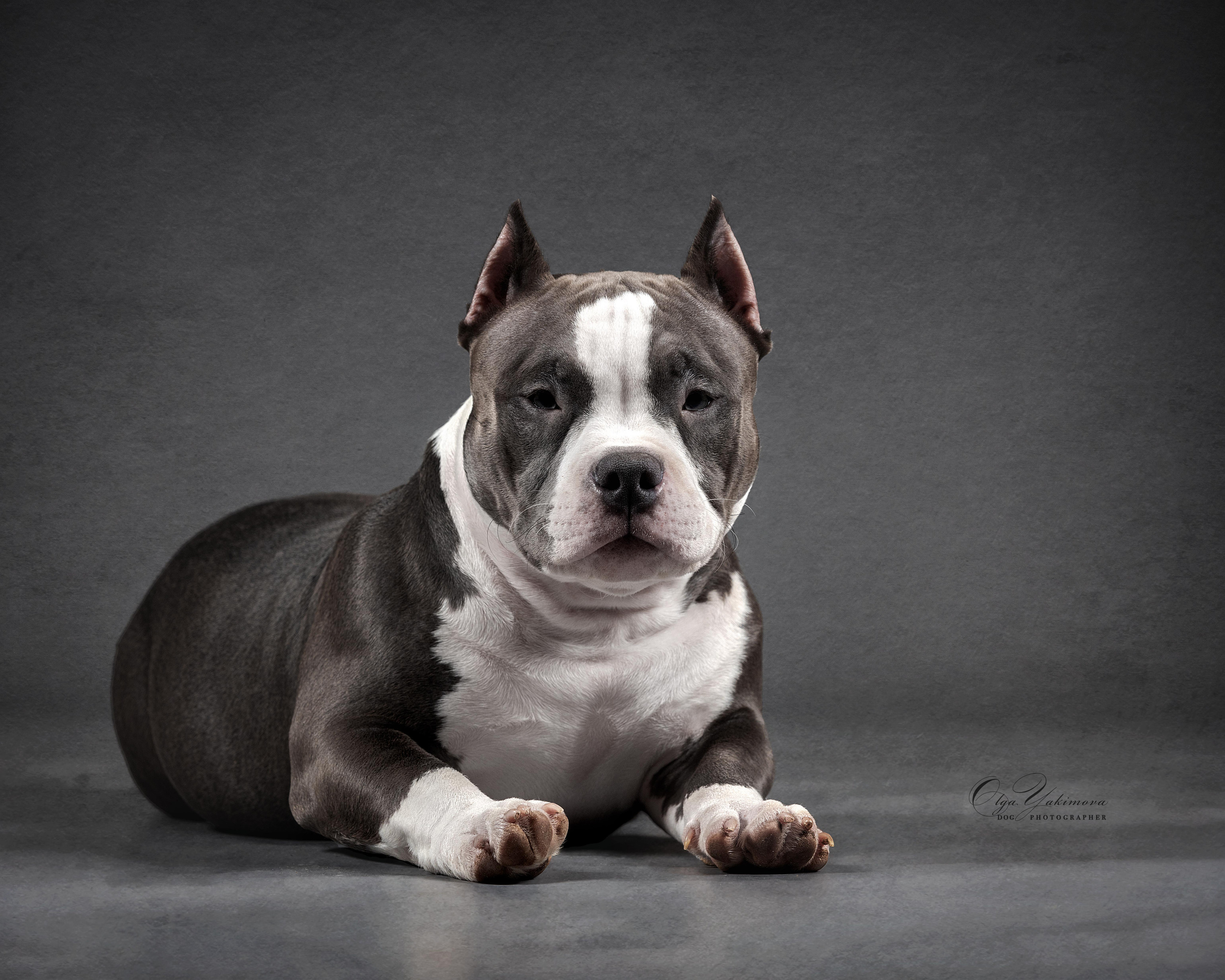 Булочки. Фотограф