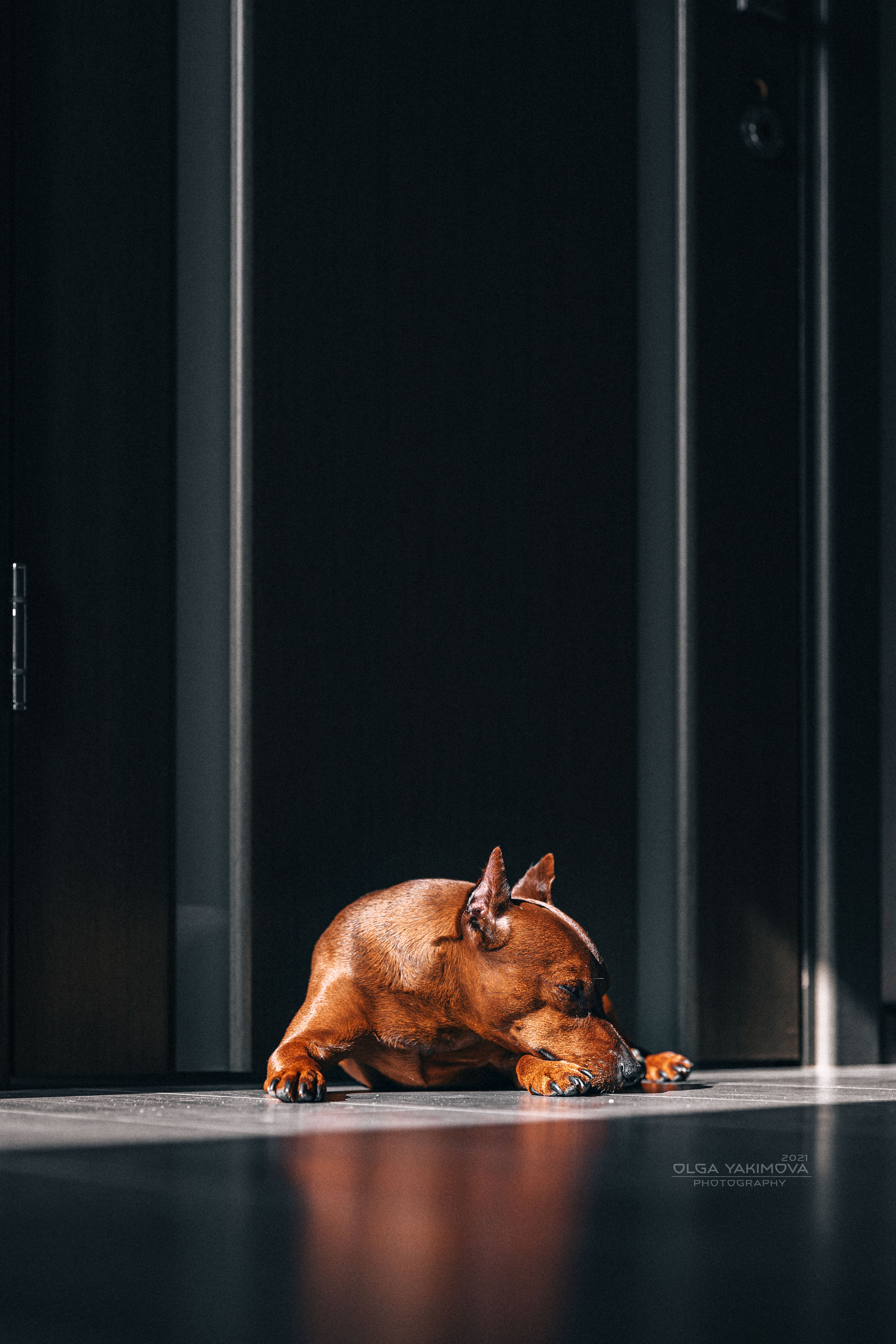 Брут и Аркад. Фотограф