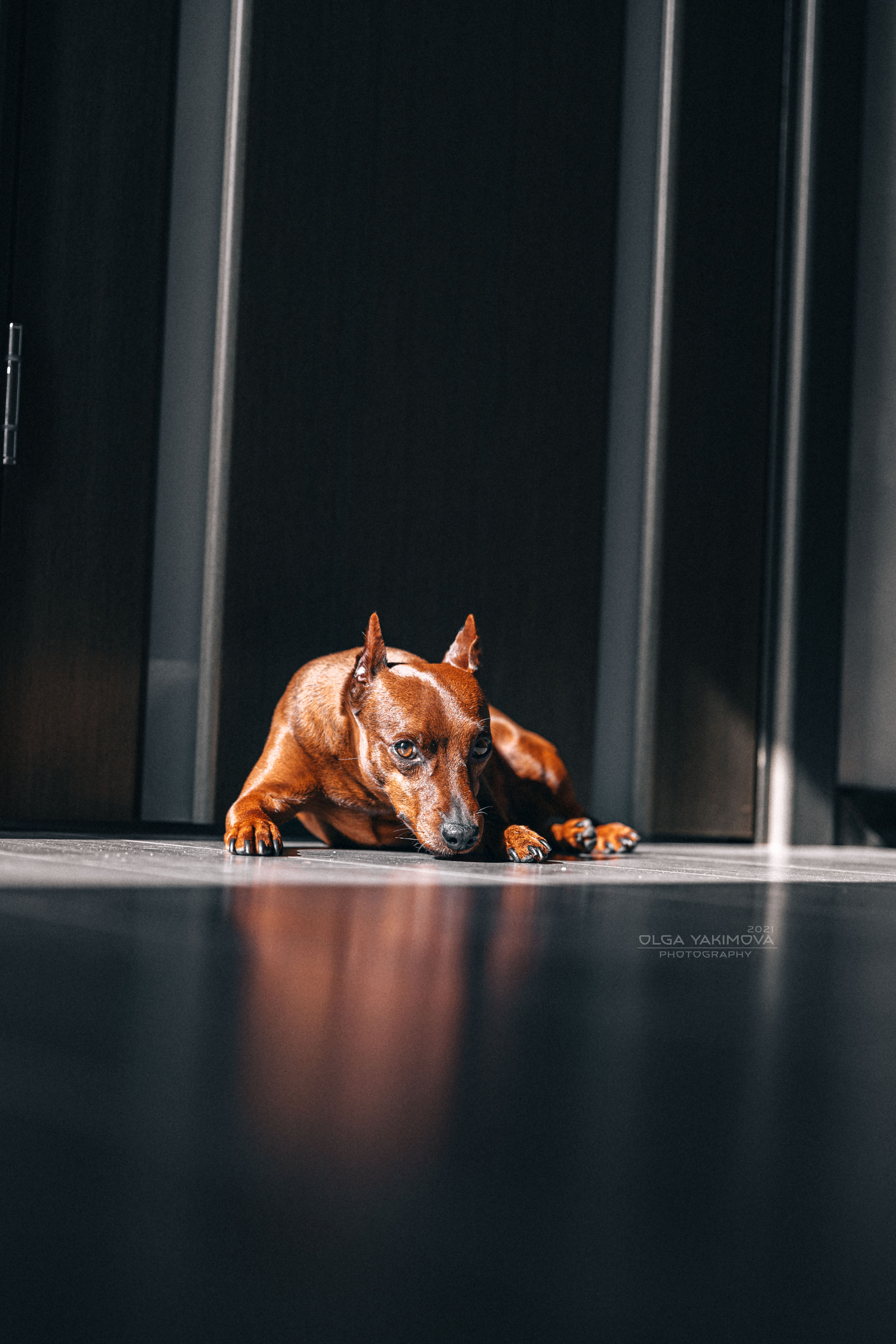 Брут и Аркад. Фотограф