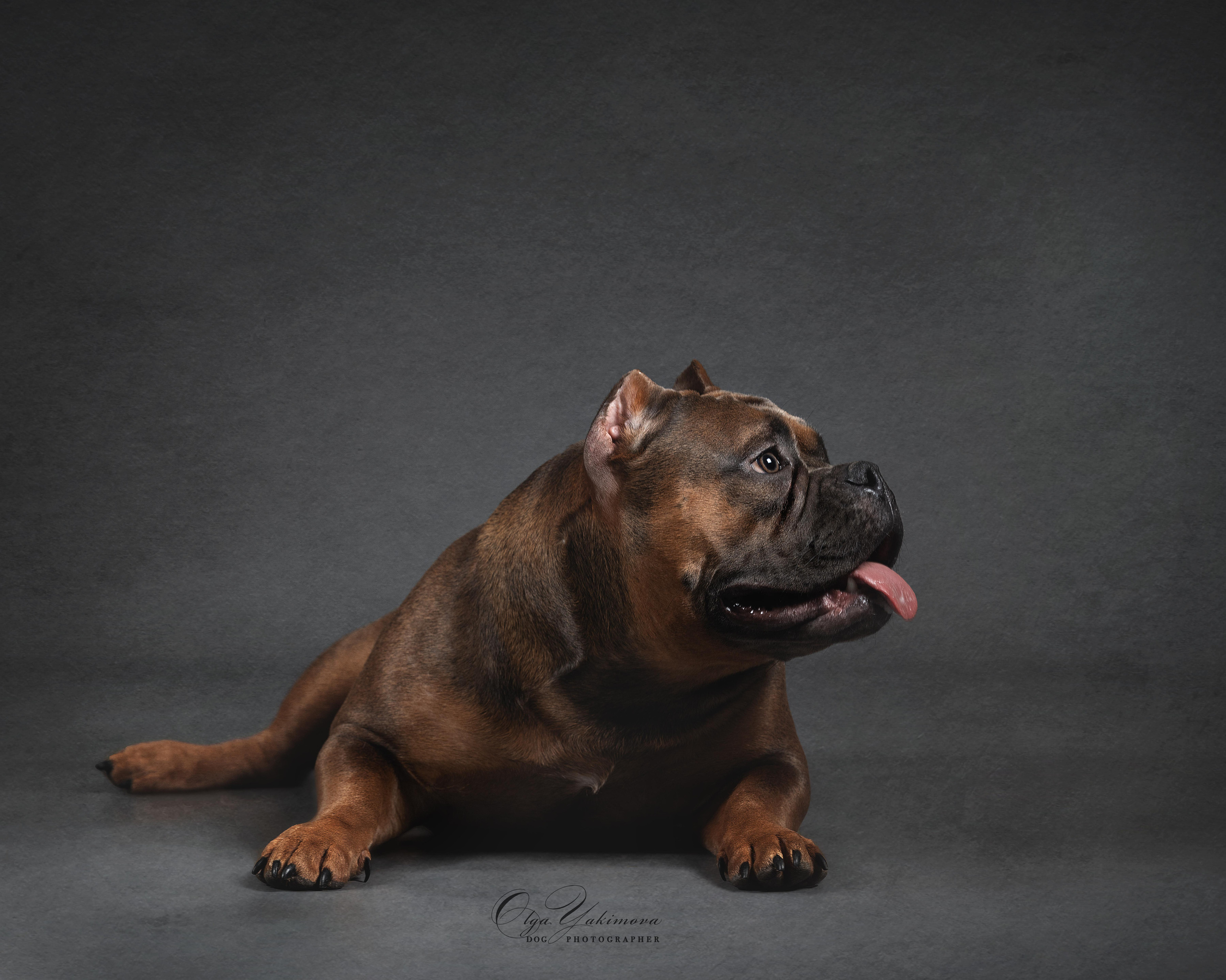 Булочки. Фотограф