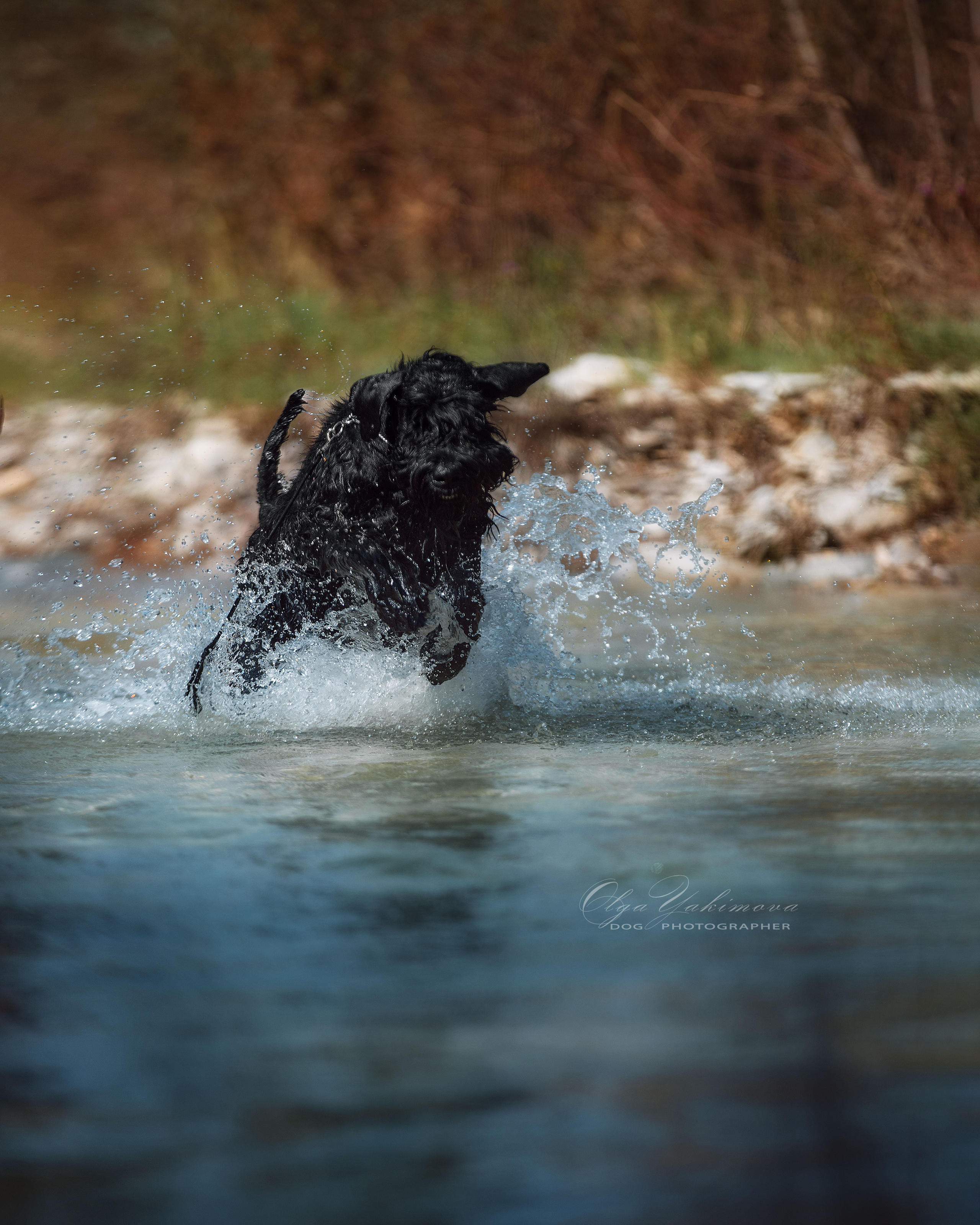 Экстерьер. Фотограф