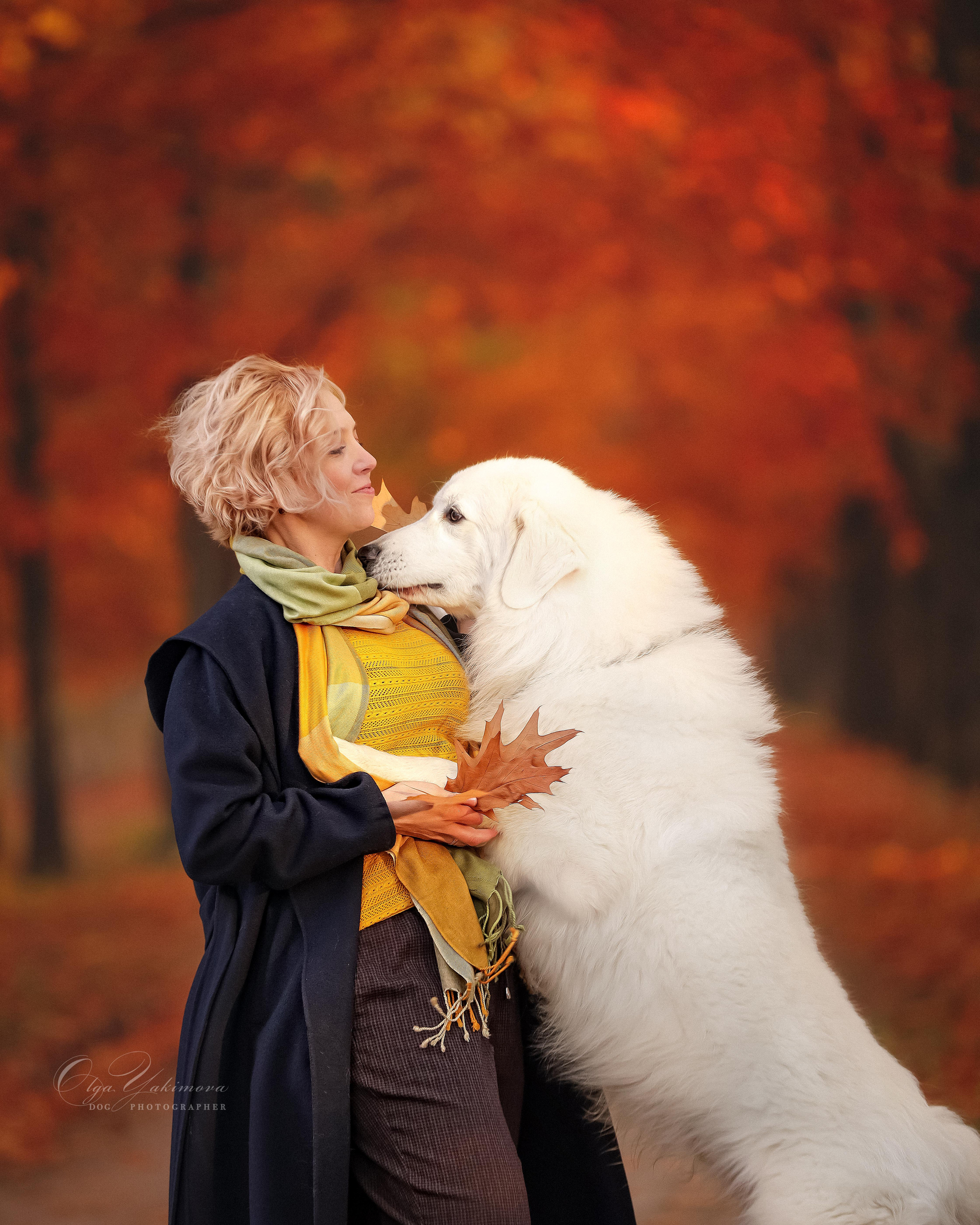 Елена...... Фотограф