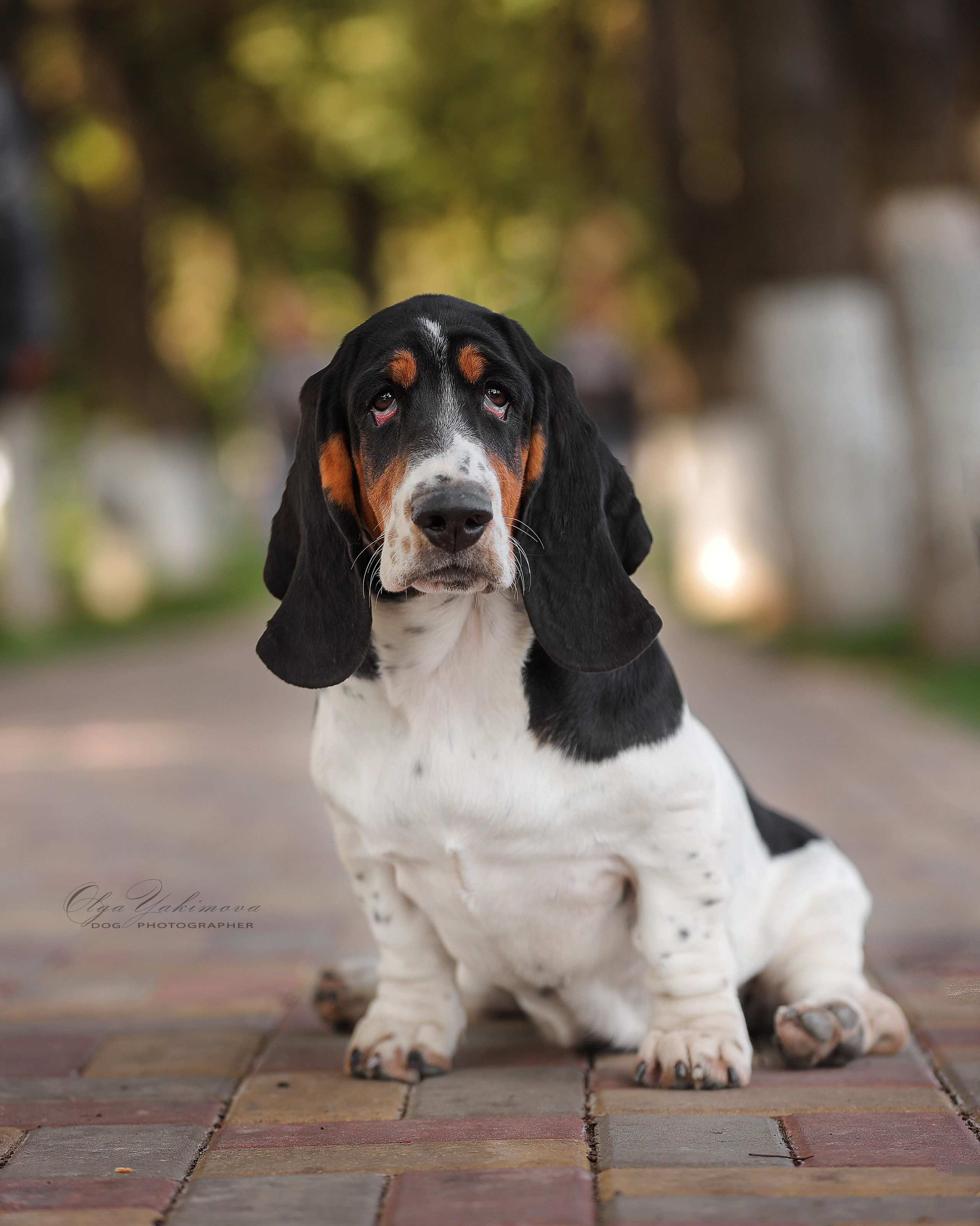 Экстерьер. Фотограф