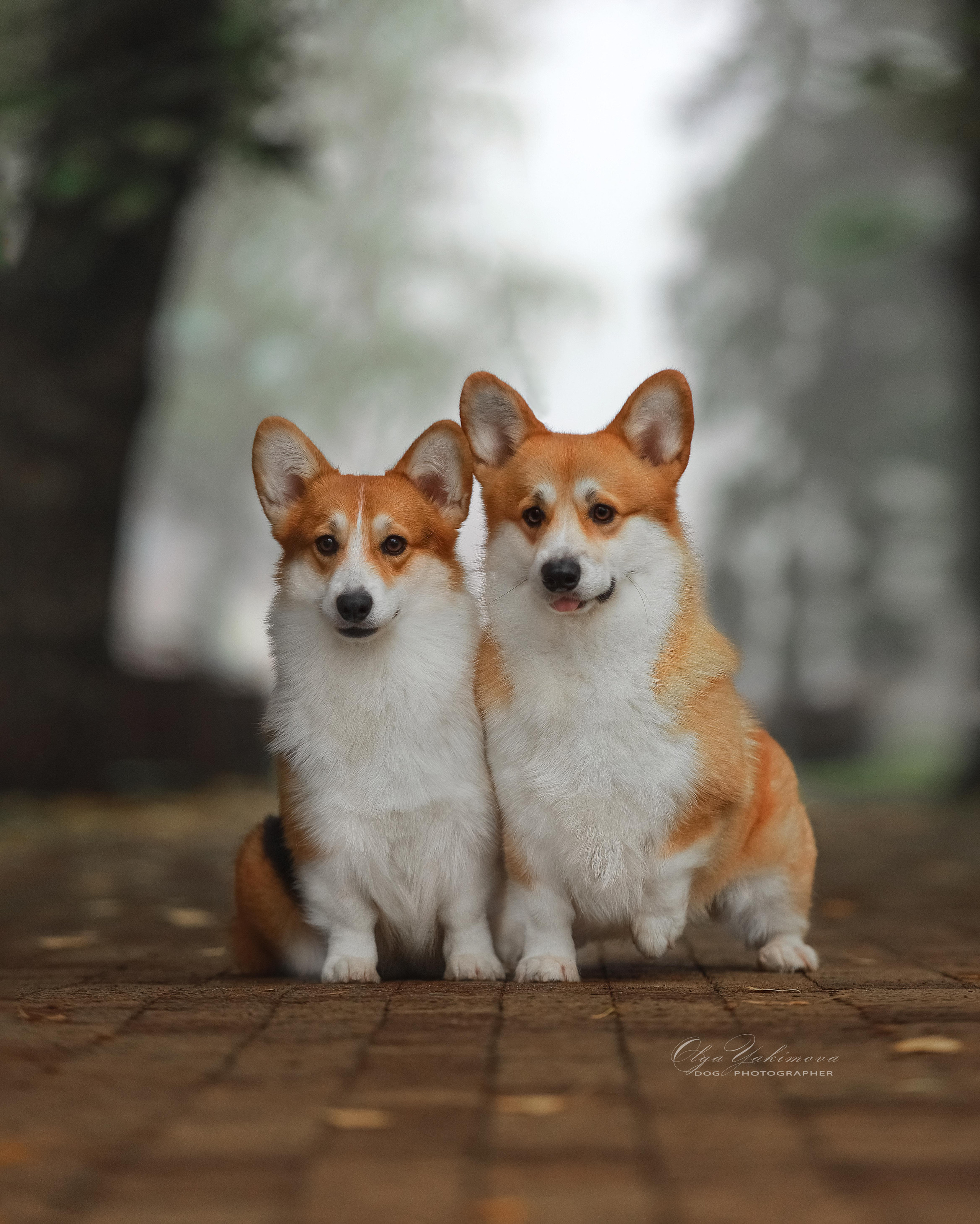 Экстерьер. Фотограф