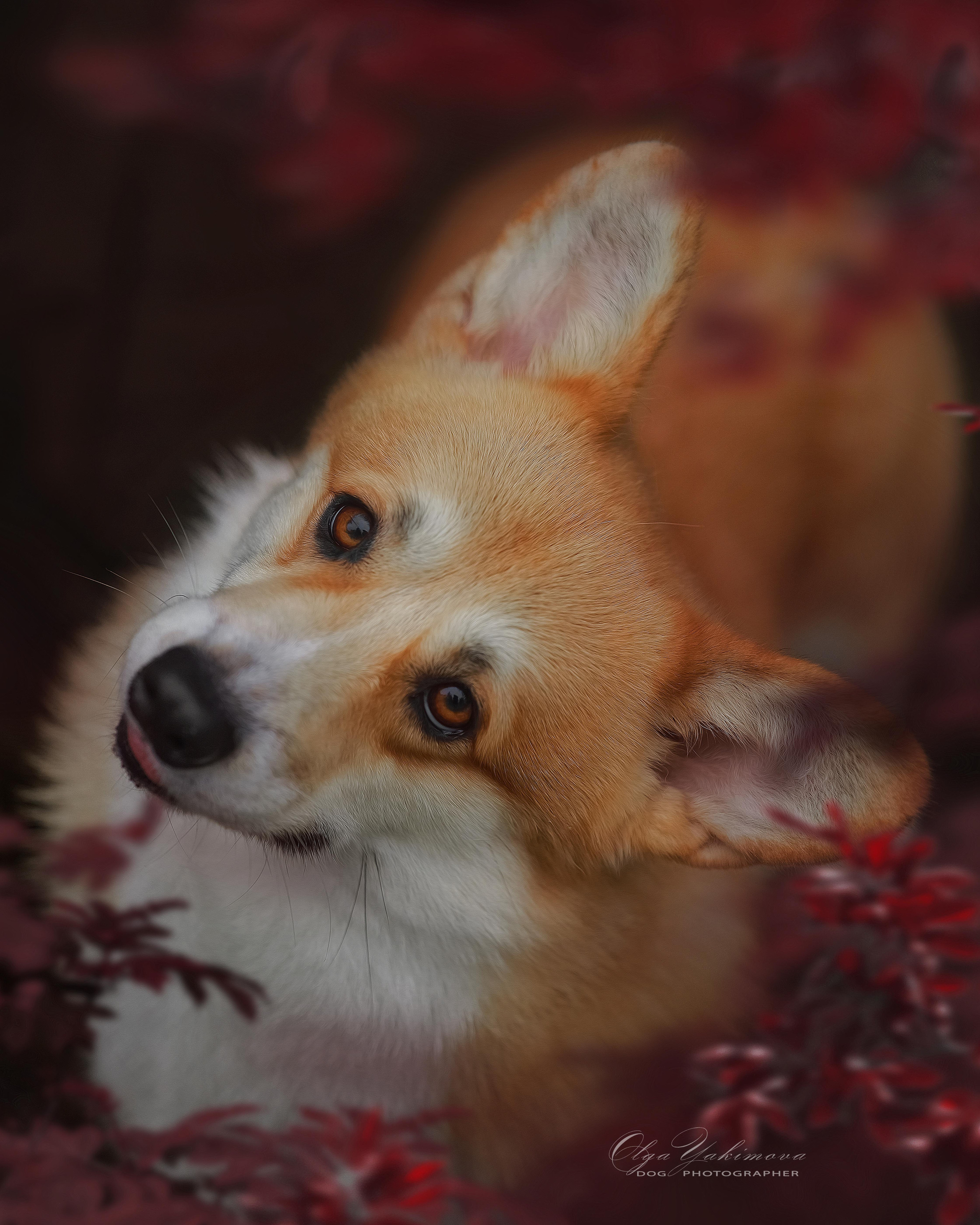 Экстерьер. Фотограф