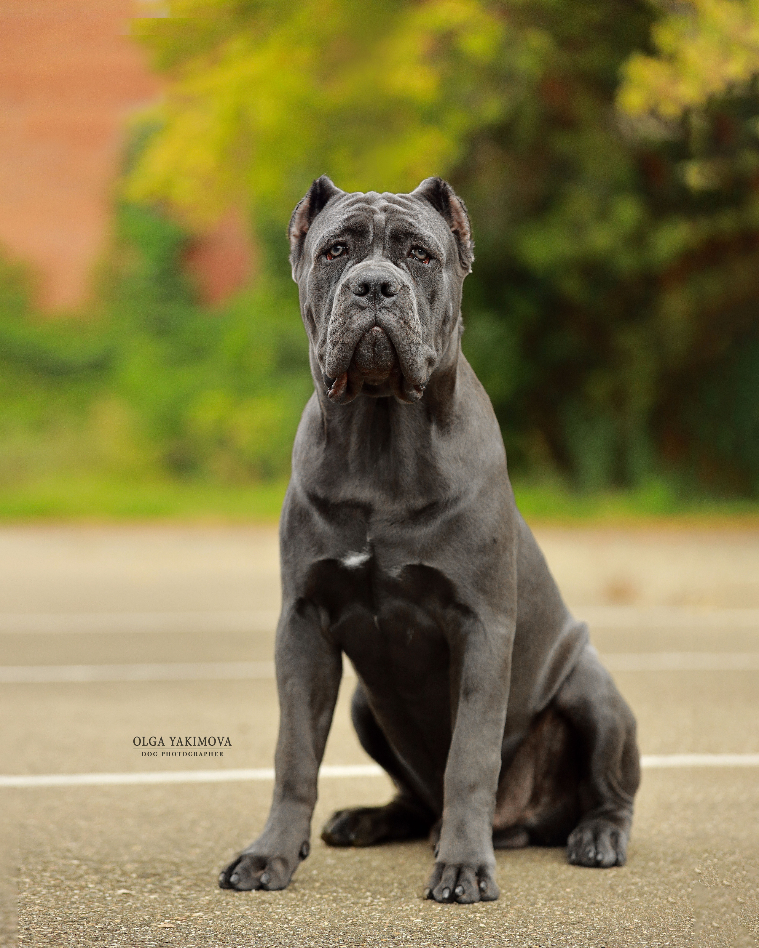 Экстерьер. Фотограф