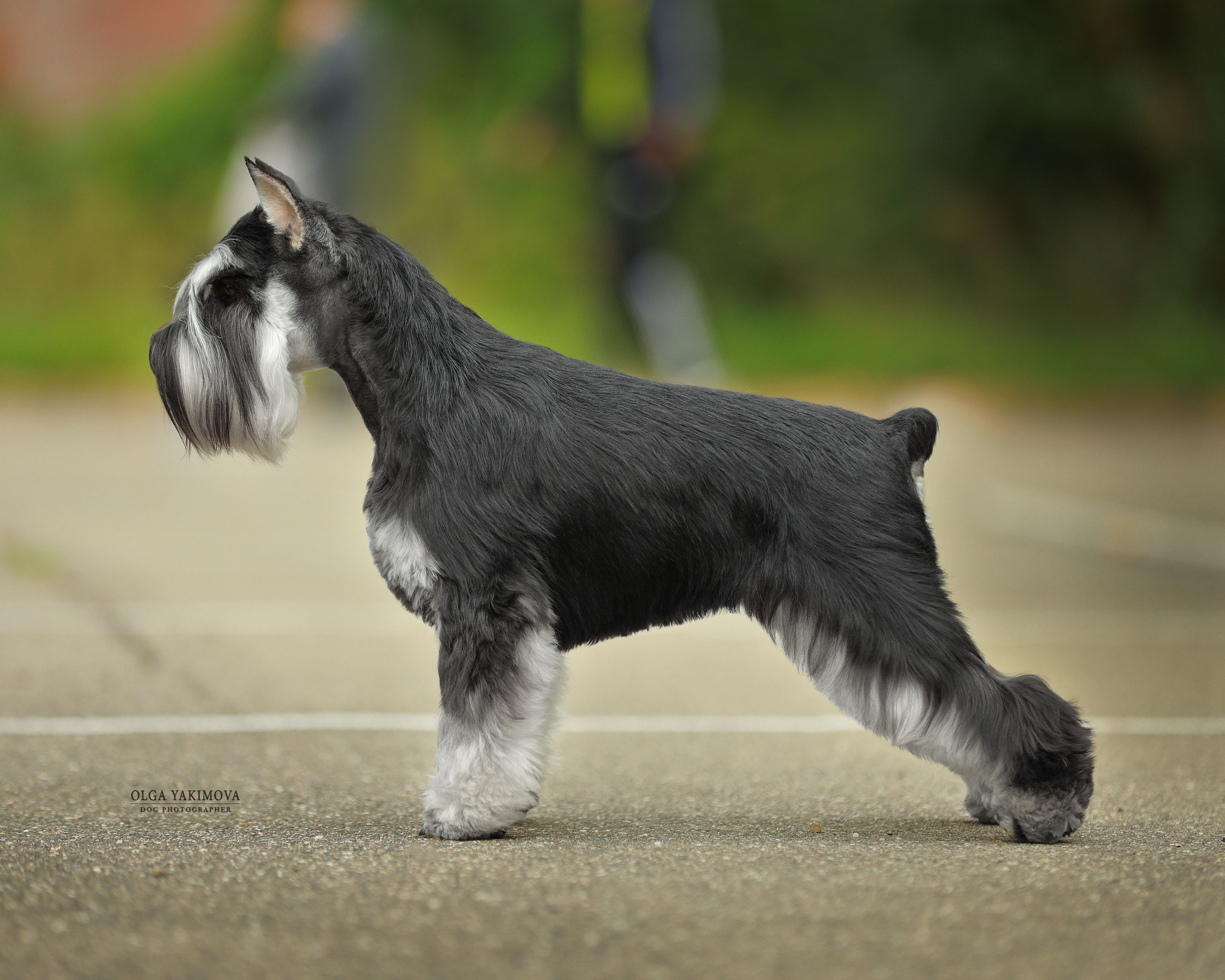 Экстерьер. Фотограф