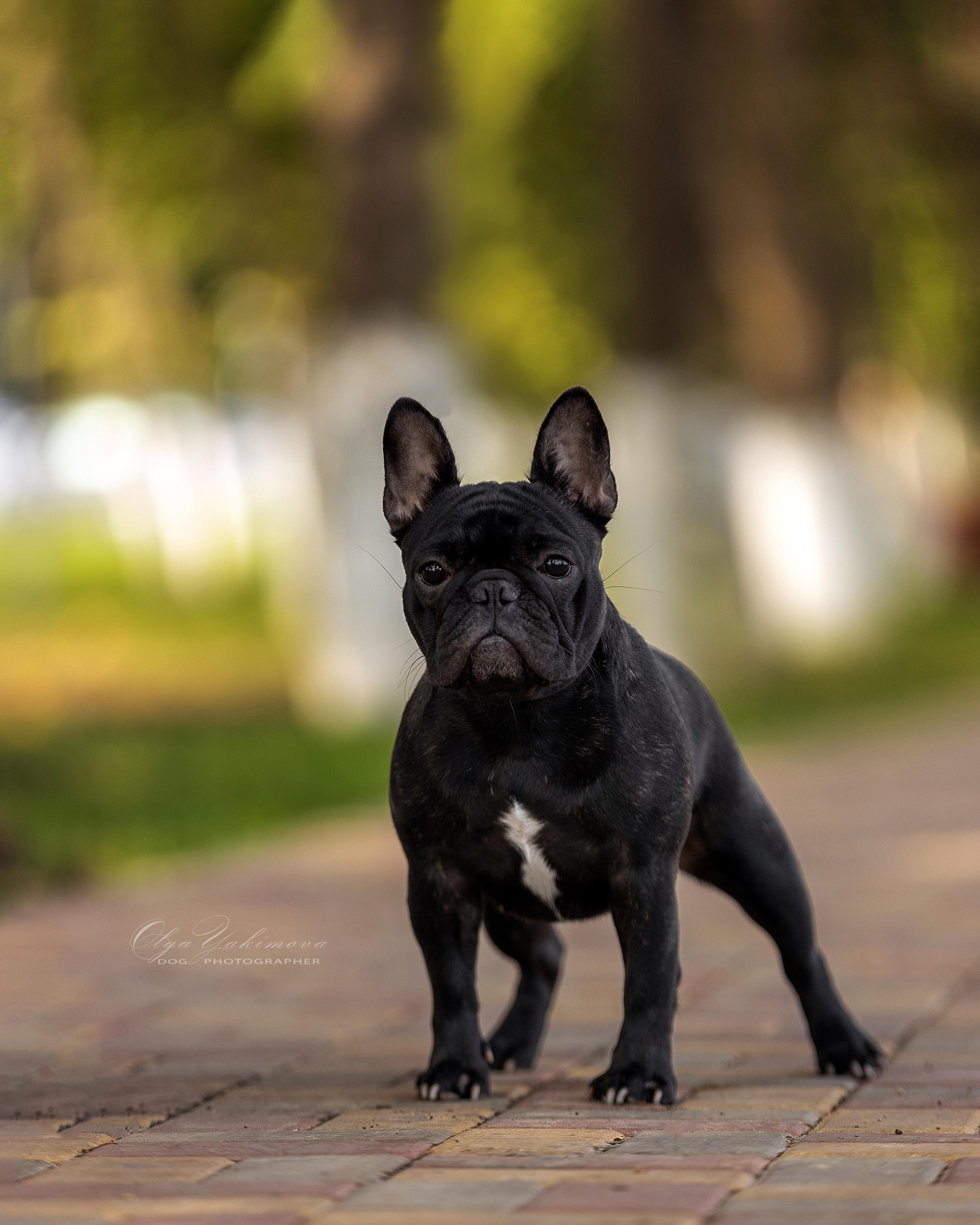 Экстерьер. Фотограф