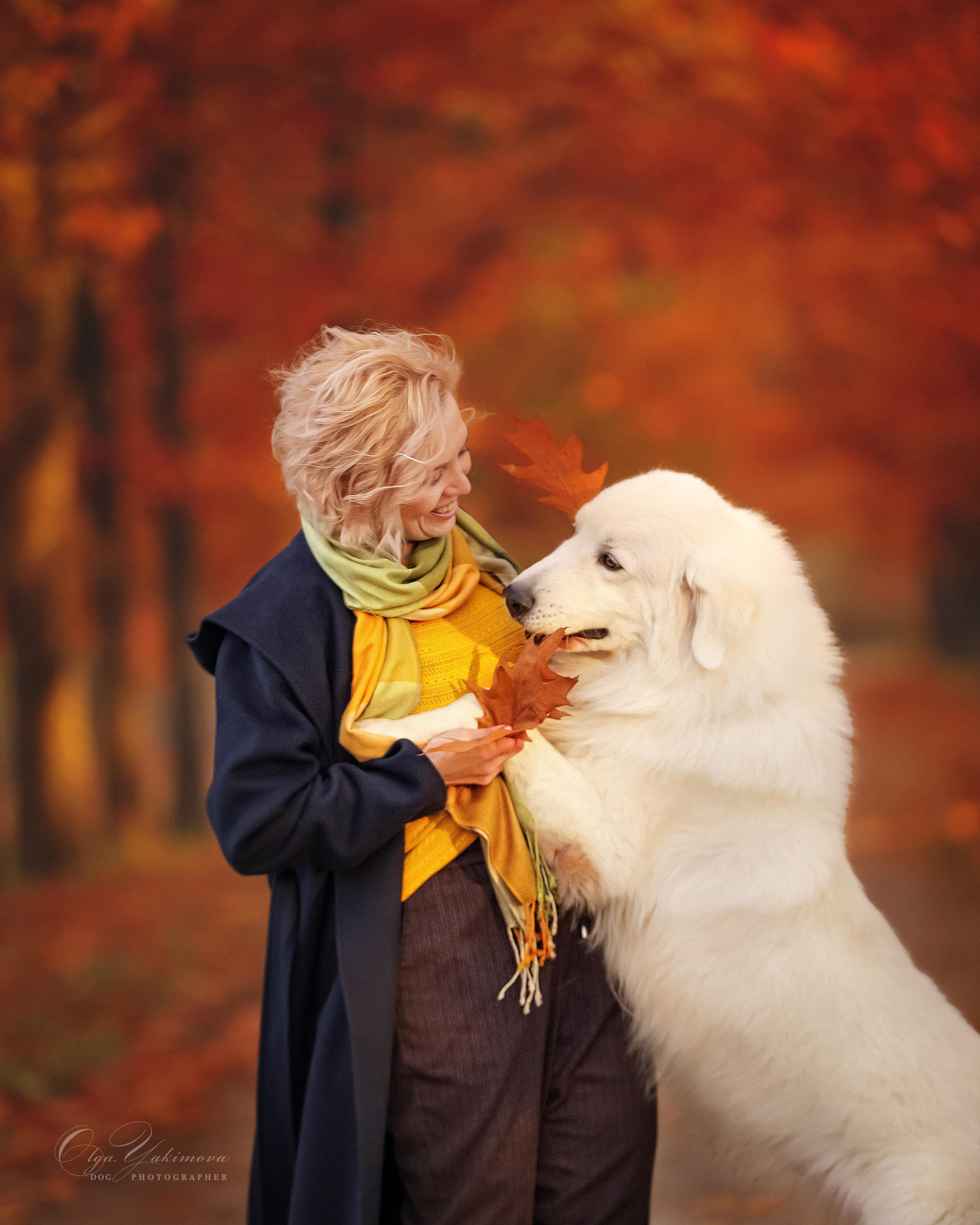 Елена...... Фотограф