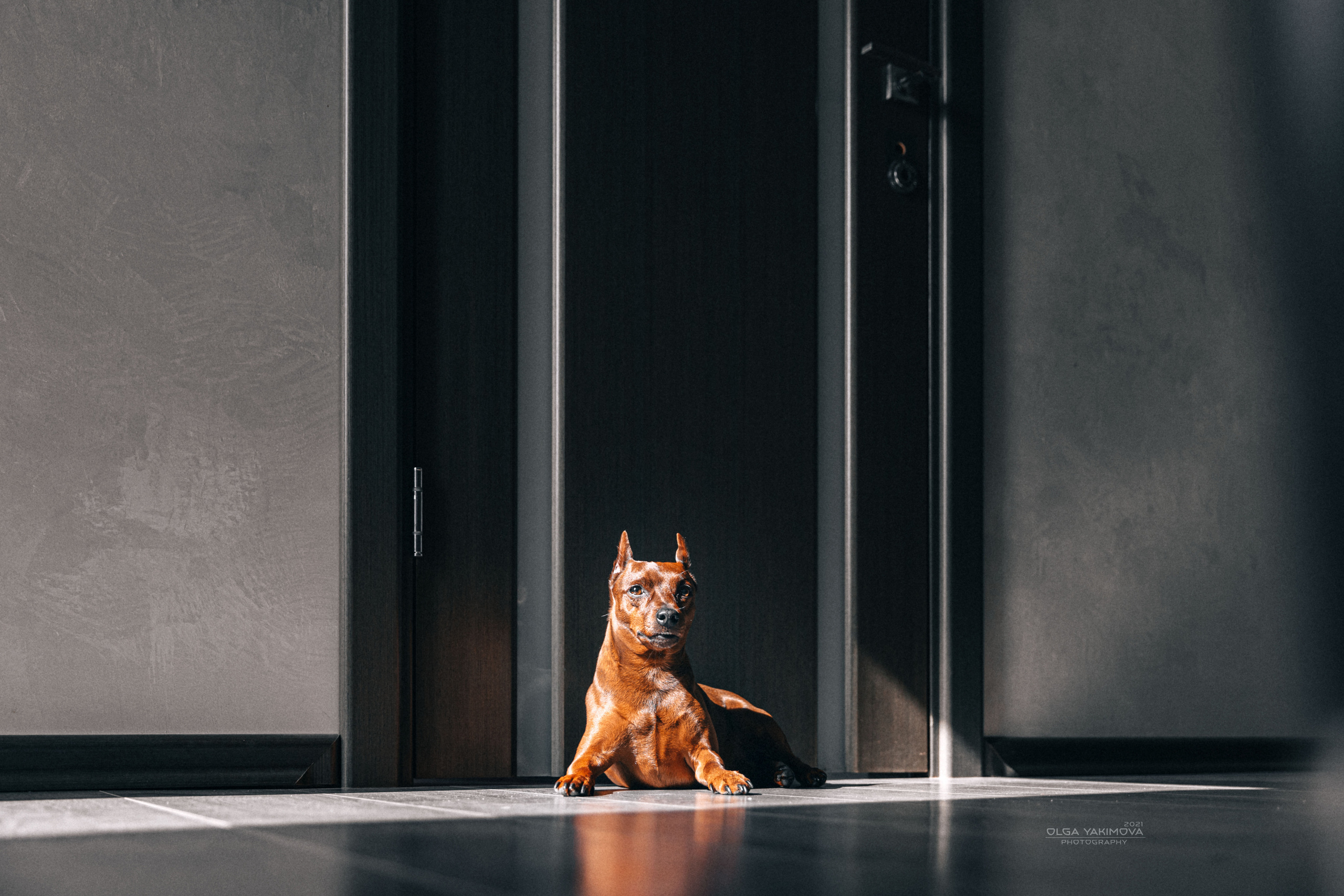 Брут и Аркад. Фотограф