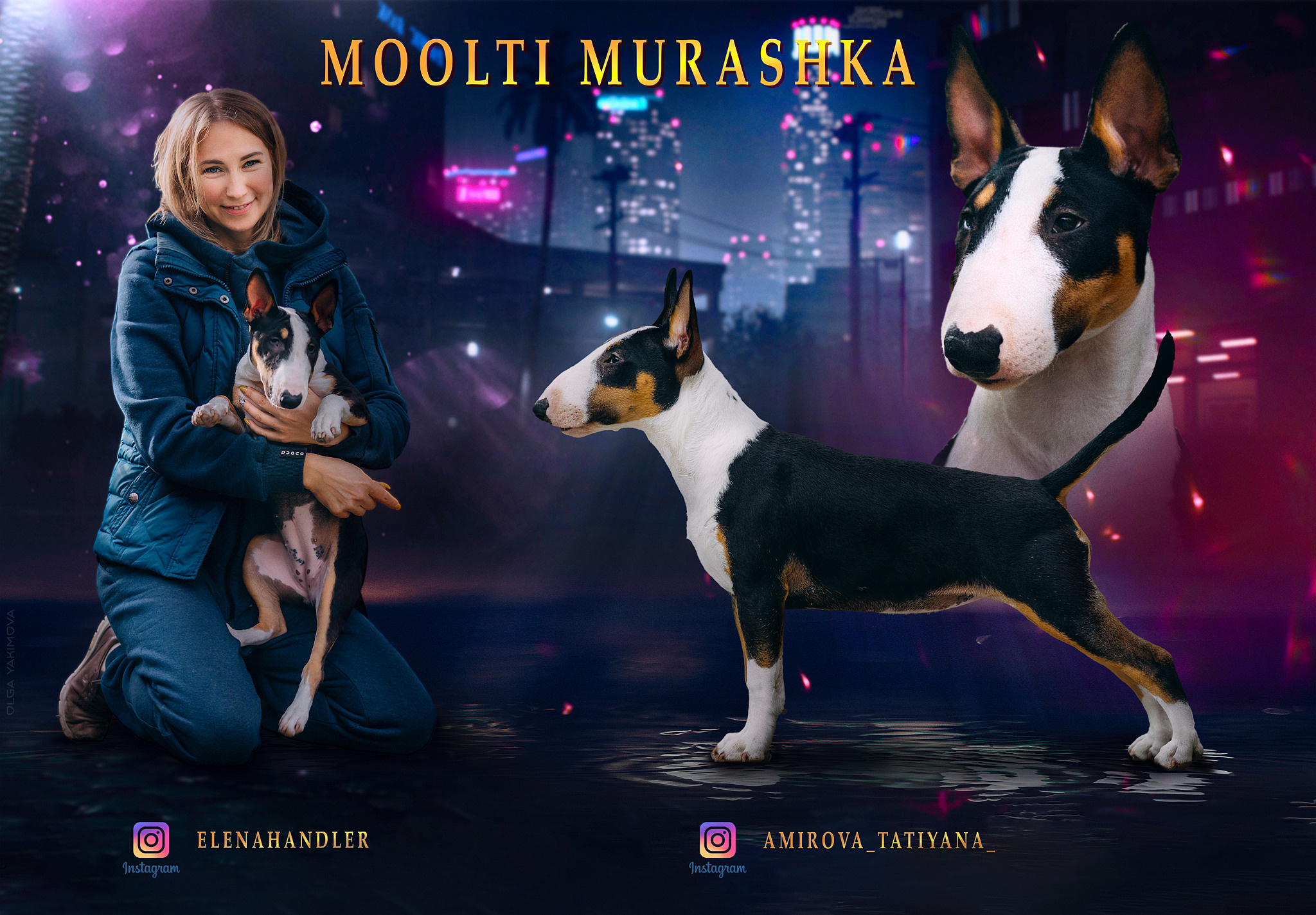 Animal presentation. Фотограф