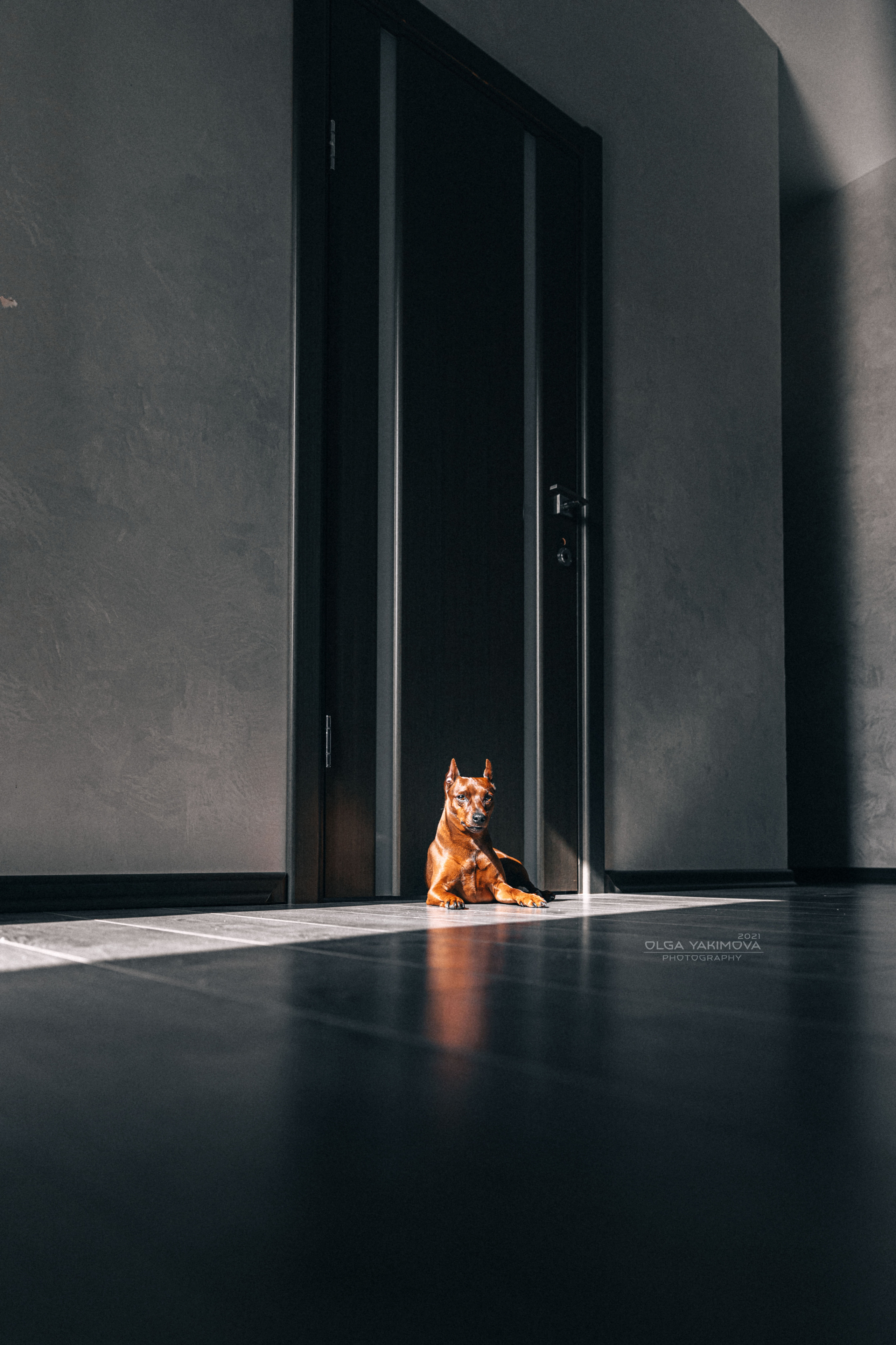 Брут и Аркад. Фотограф