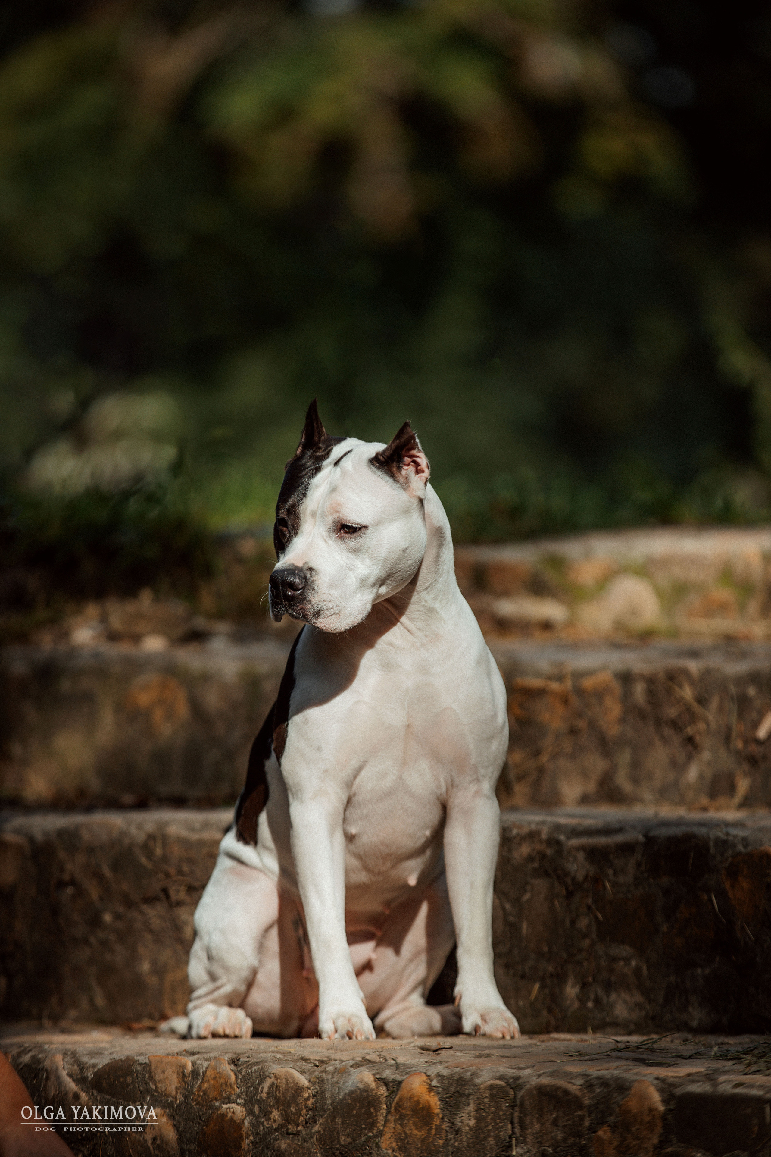 Экстерьер. Фотограф