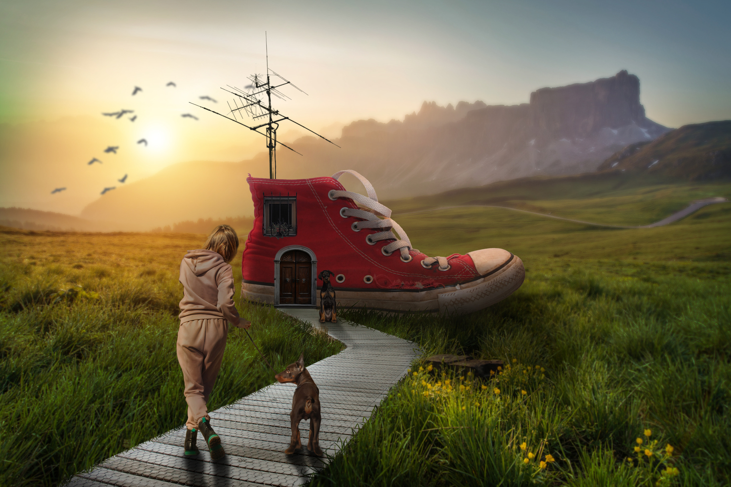 Animal presentation. Фотограф