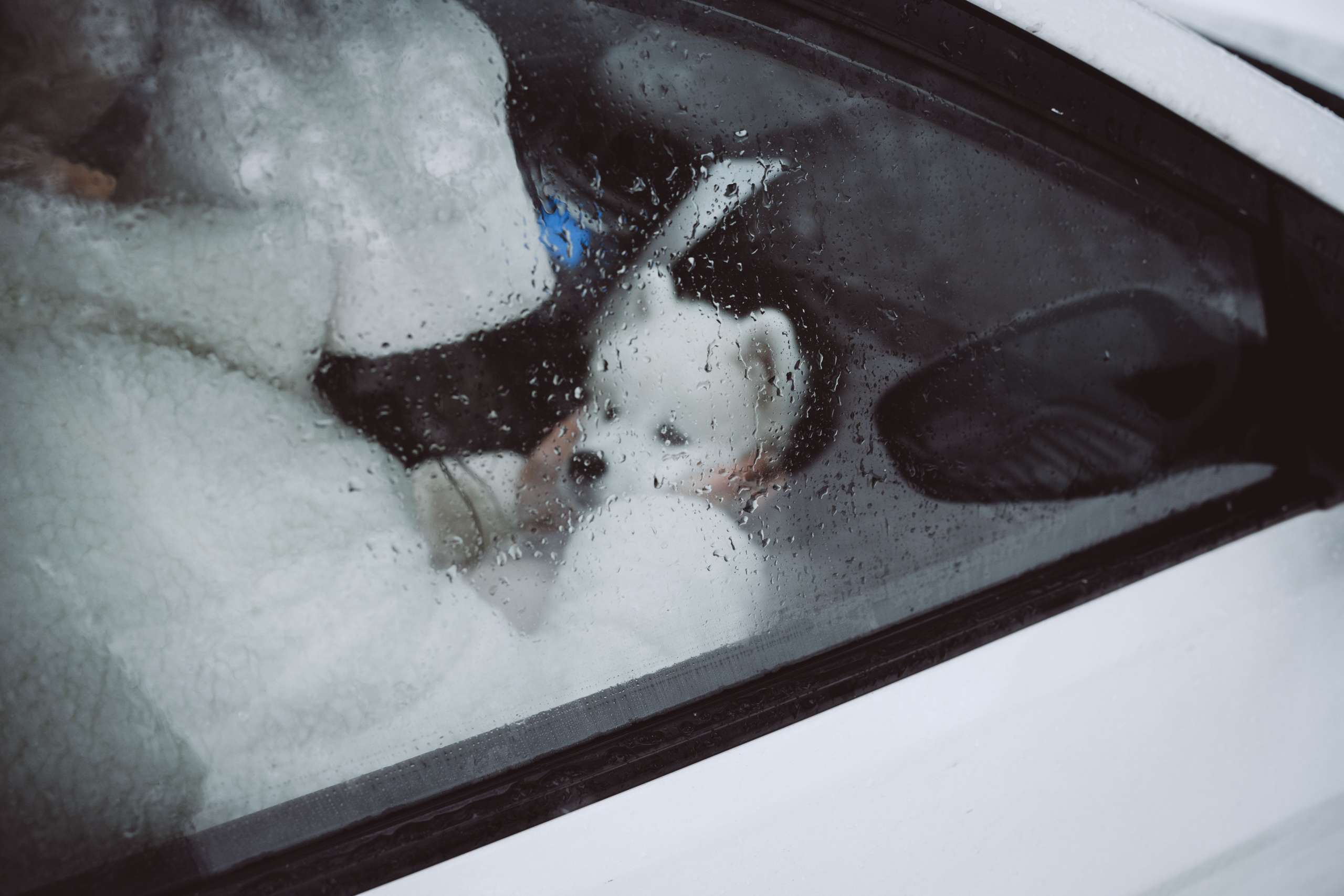 Антон, Дарья и Шани. Фотограф в Сочи Щетинина Анастасия