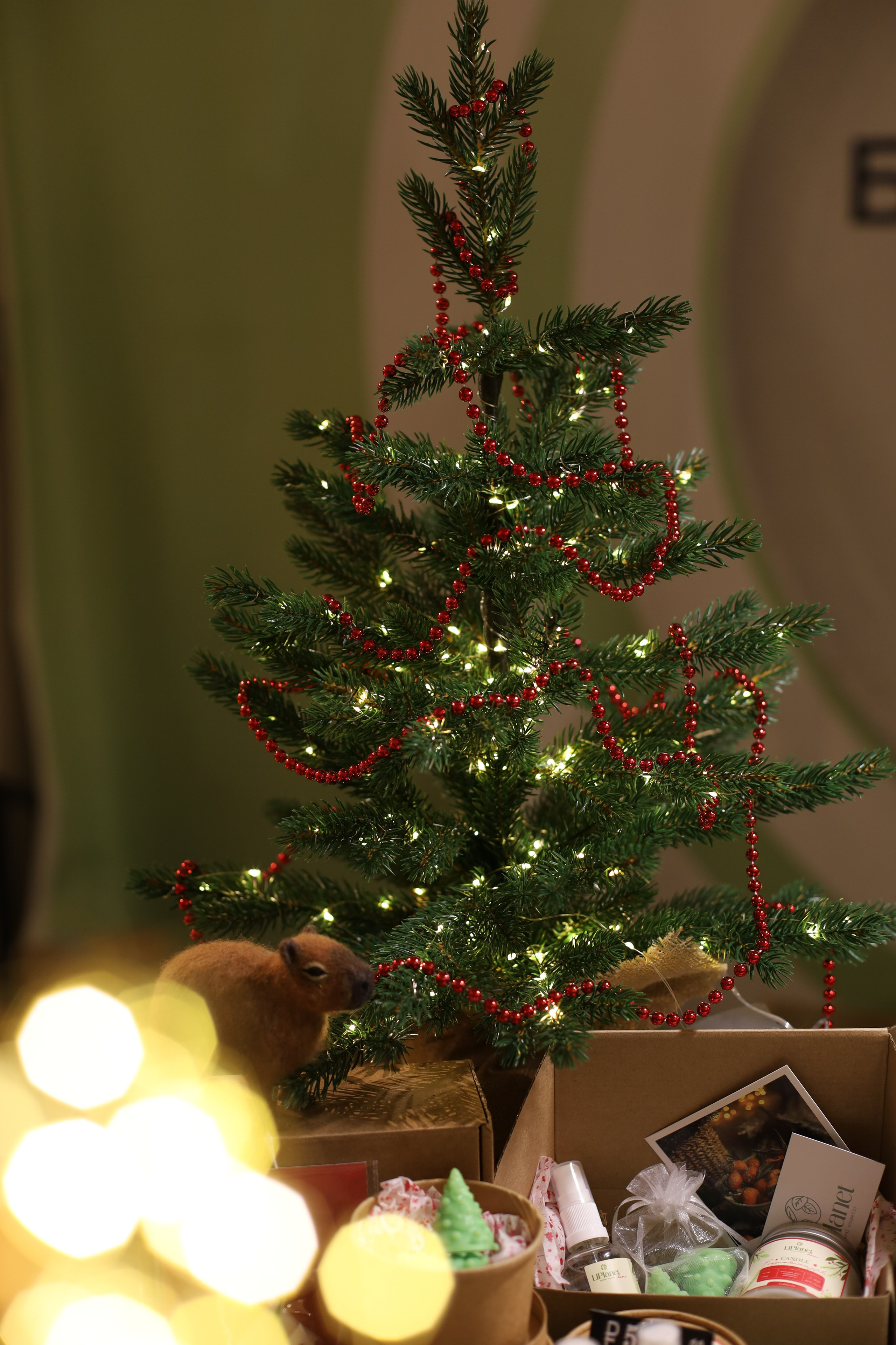 Открытие ФудКорт ЦЕНТРАЛЬНЫЙ. Фотограф Светлана Бурова