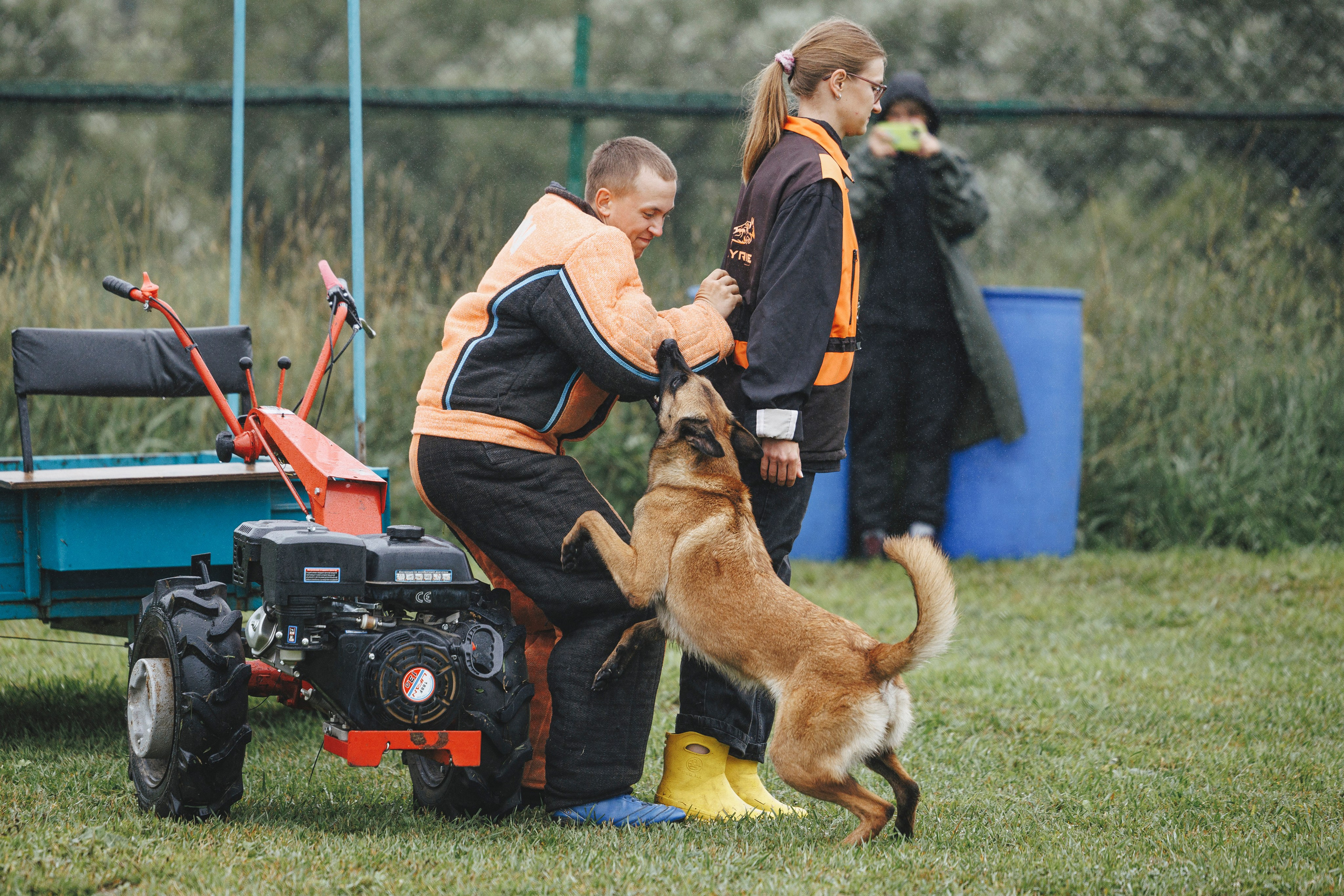 08.08.25-10.08.25 ЧР по мондьорингу г. Вологда. Фотограф-анималист Анна Маринич