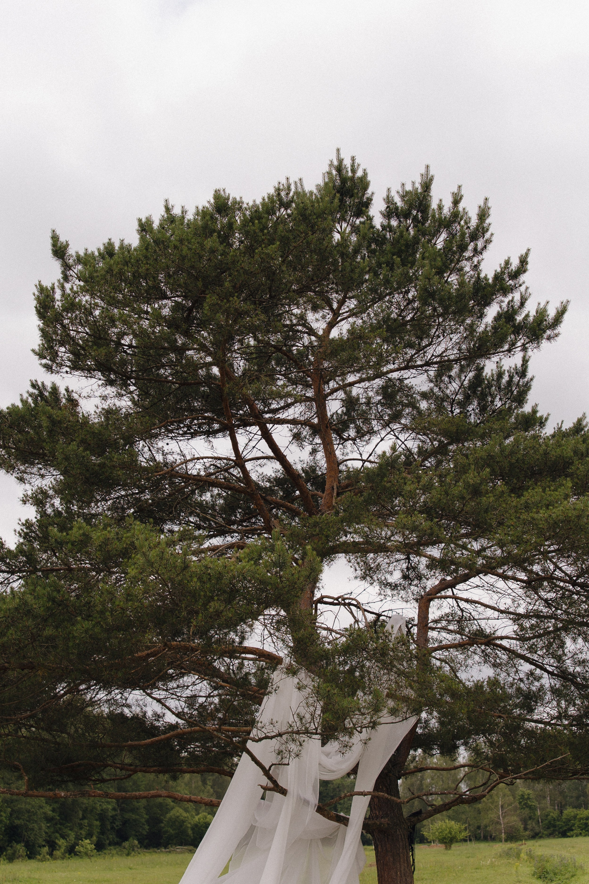Fabrics of Forever. Свадебный фотограф в Москве Дмитрий Тарасов