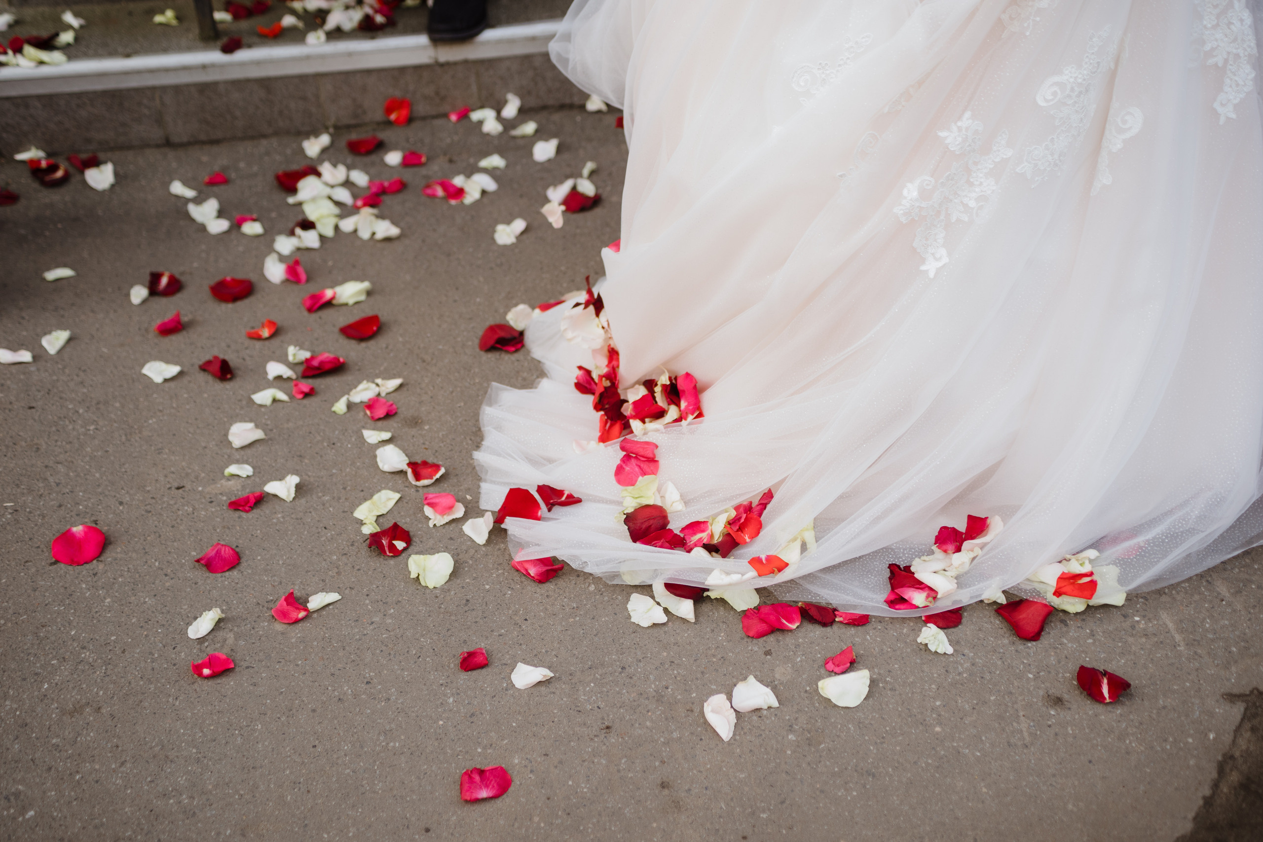 Евгения Языкова – профессиональная свадебная съемка в Архангельске