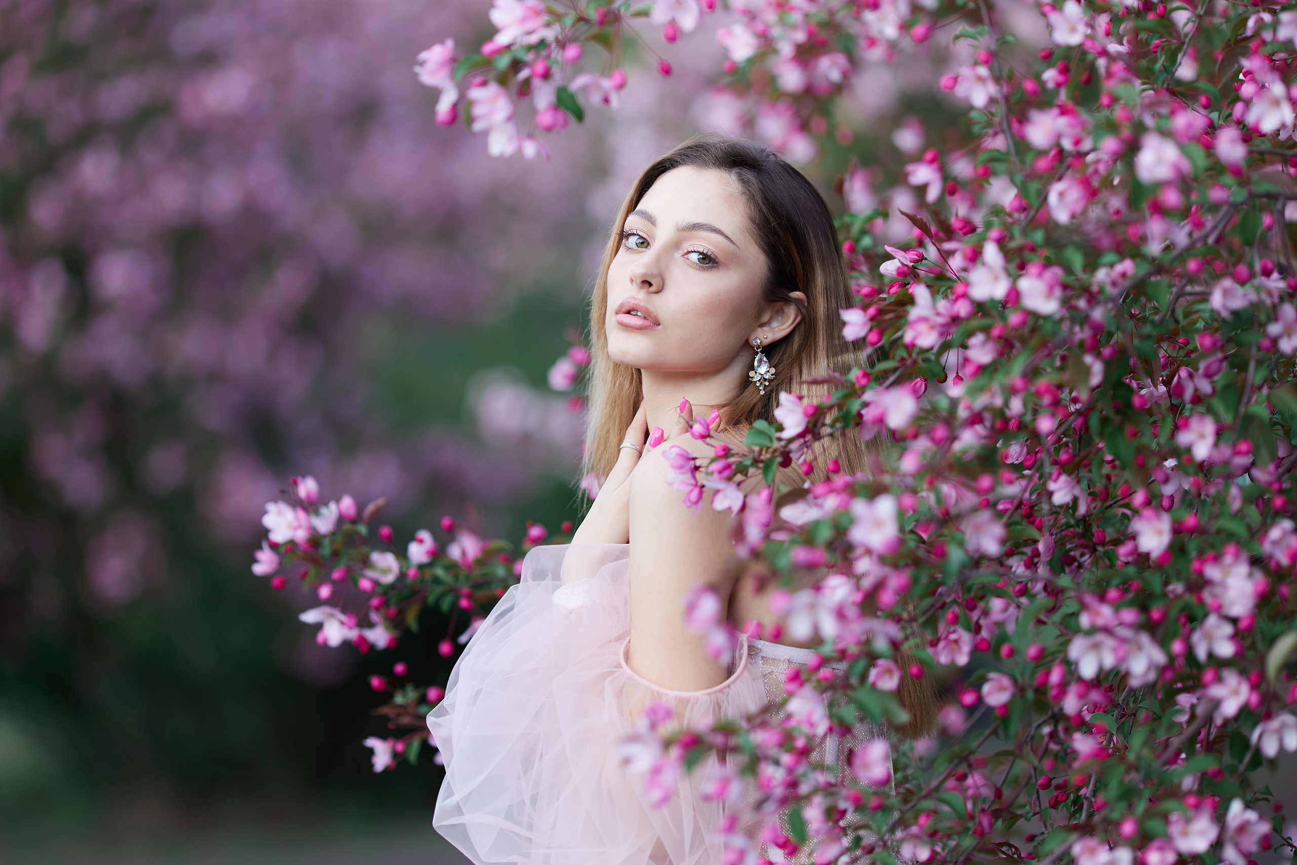 Дарья цветение