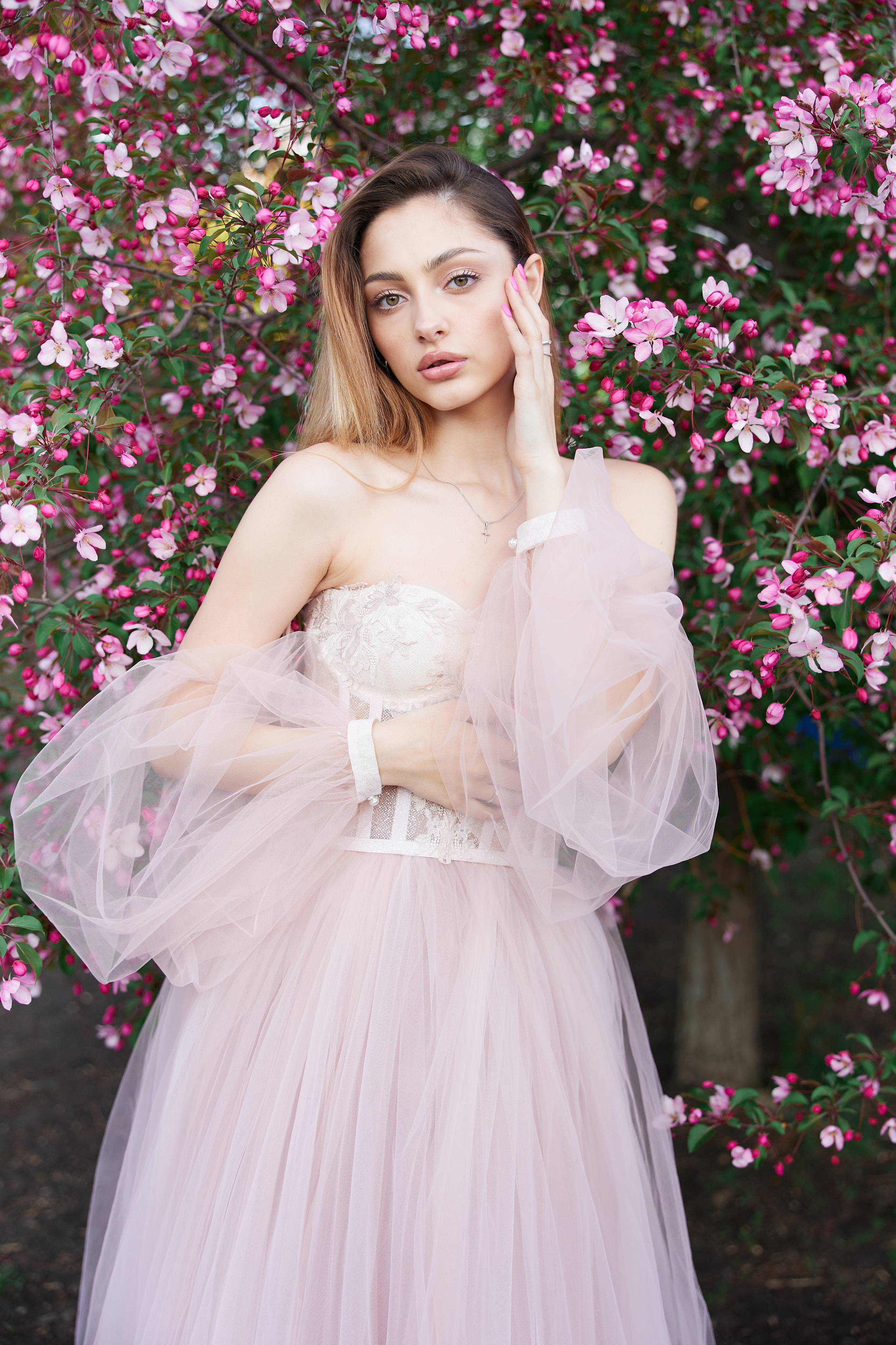 Дарья цветение