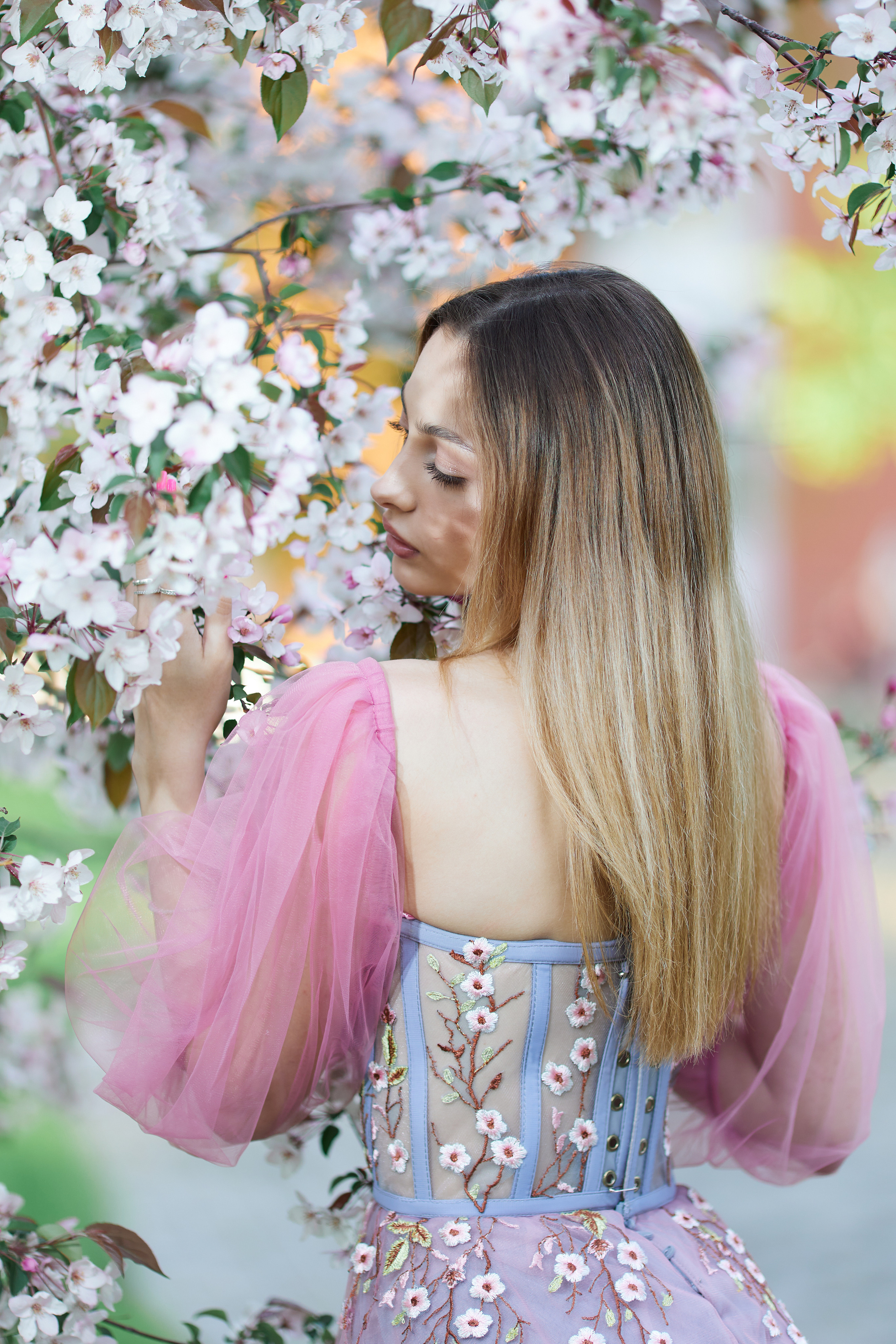 Дарья цветение