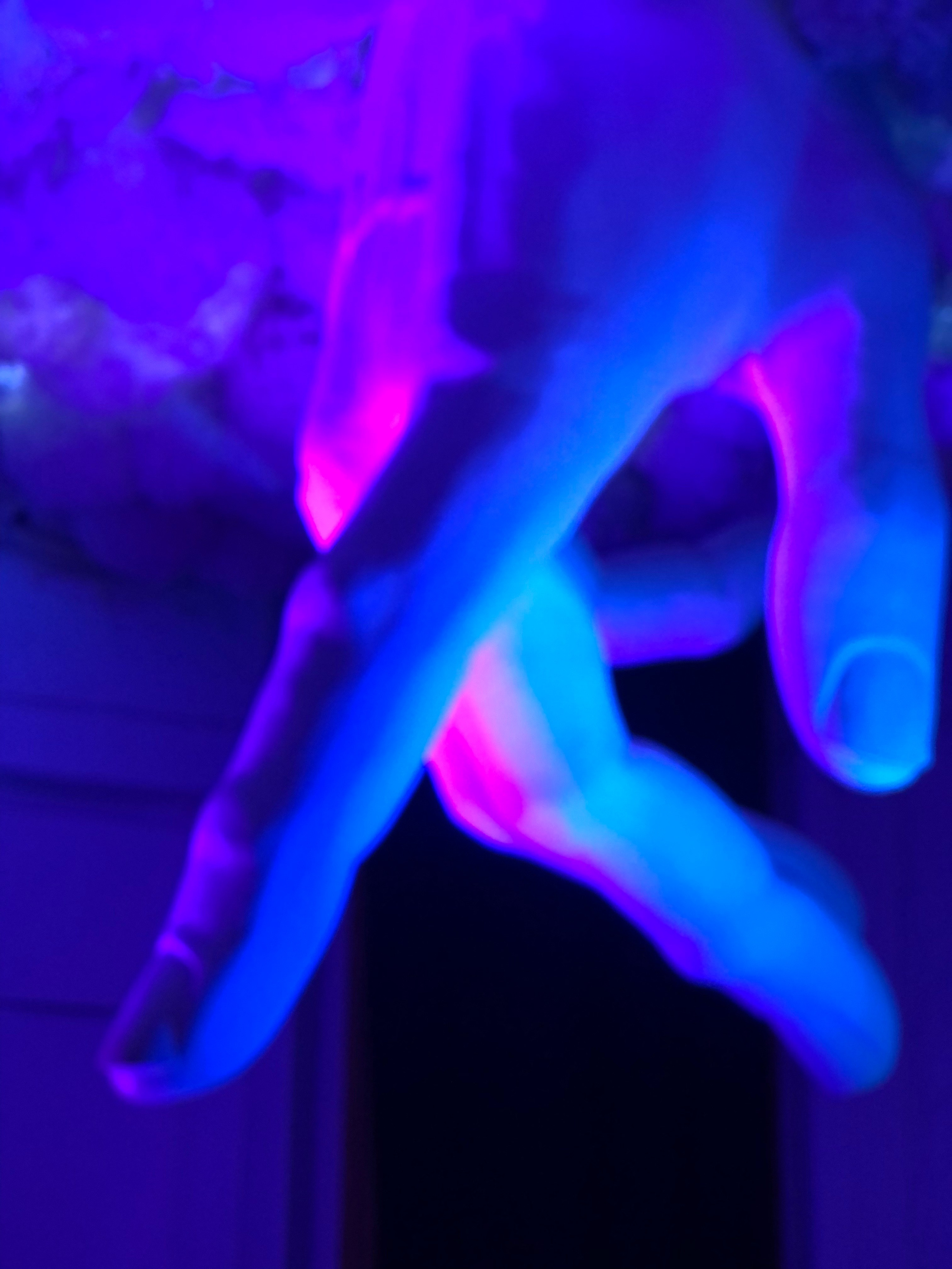 Октябрь. Семейный, Свадебный фотограф СПБ Питер— Романова Екатерина