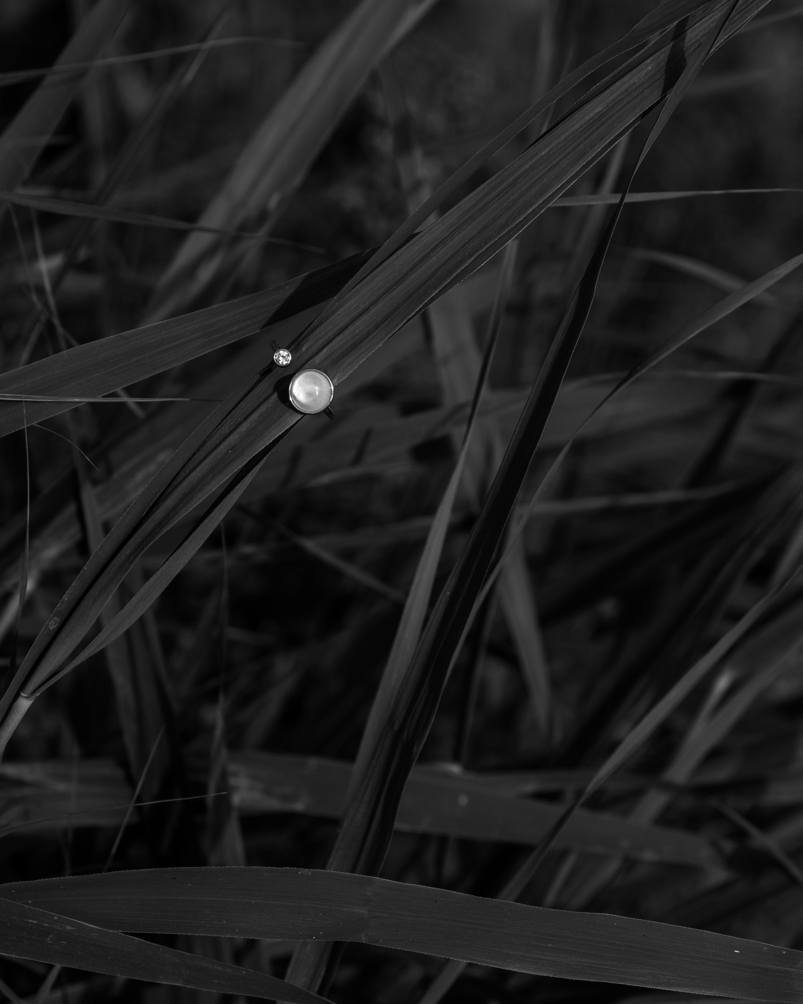 Shine_and_joy. Фотограф Анапа, Новороссийск, Краснодар