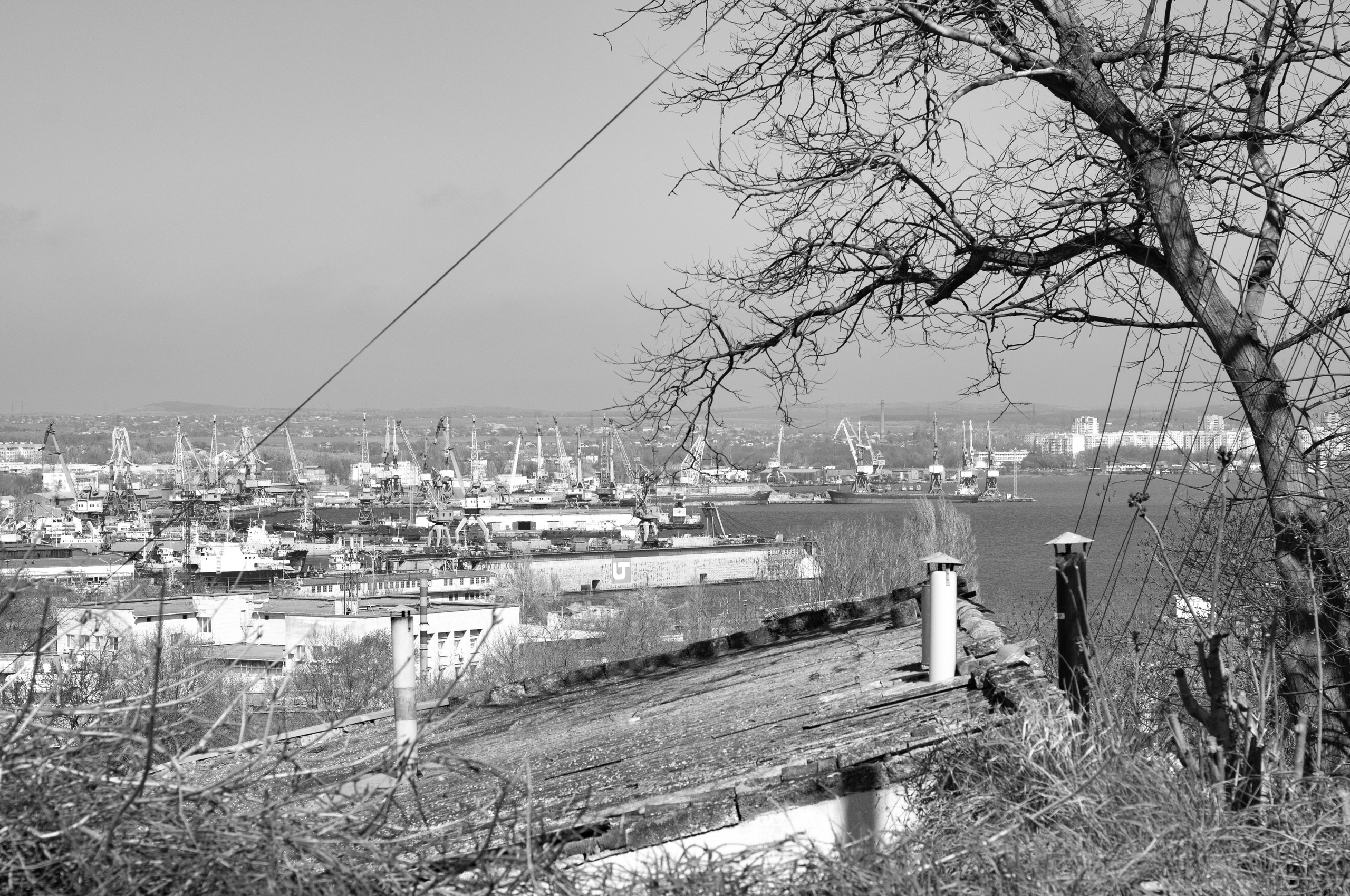 Для души. Сейчас вылетит ПТИЧКА! Фотосессии в Керчи