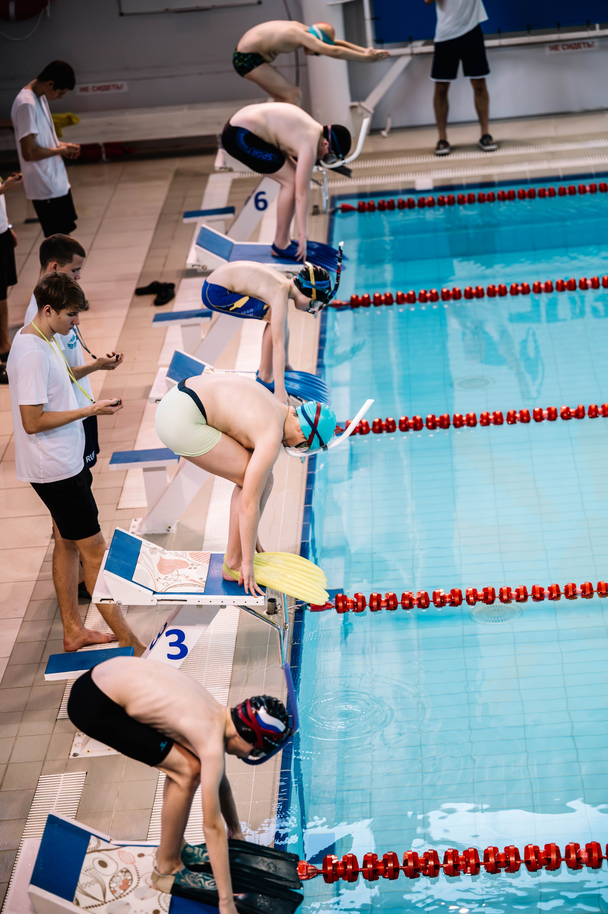 Первый этап кубка плавания, Дельфин. Октябрь, 2024. Спортивный фотограф в Туле и Тульской области. Файсханова Фото Спорт