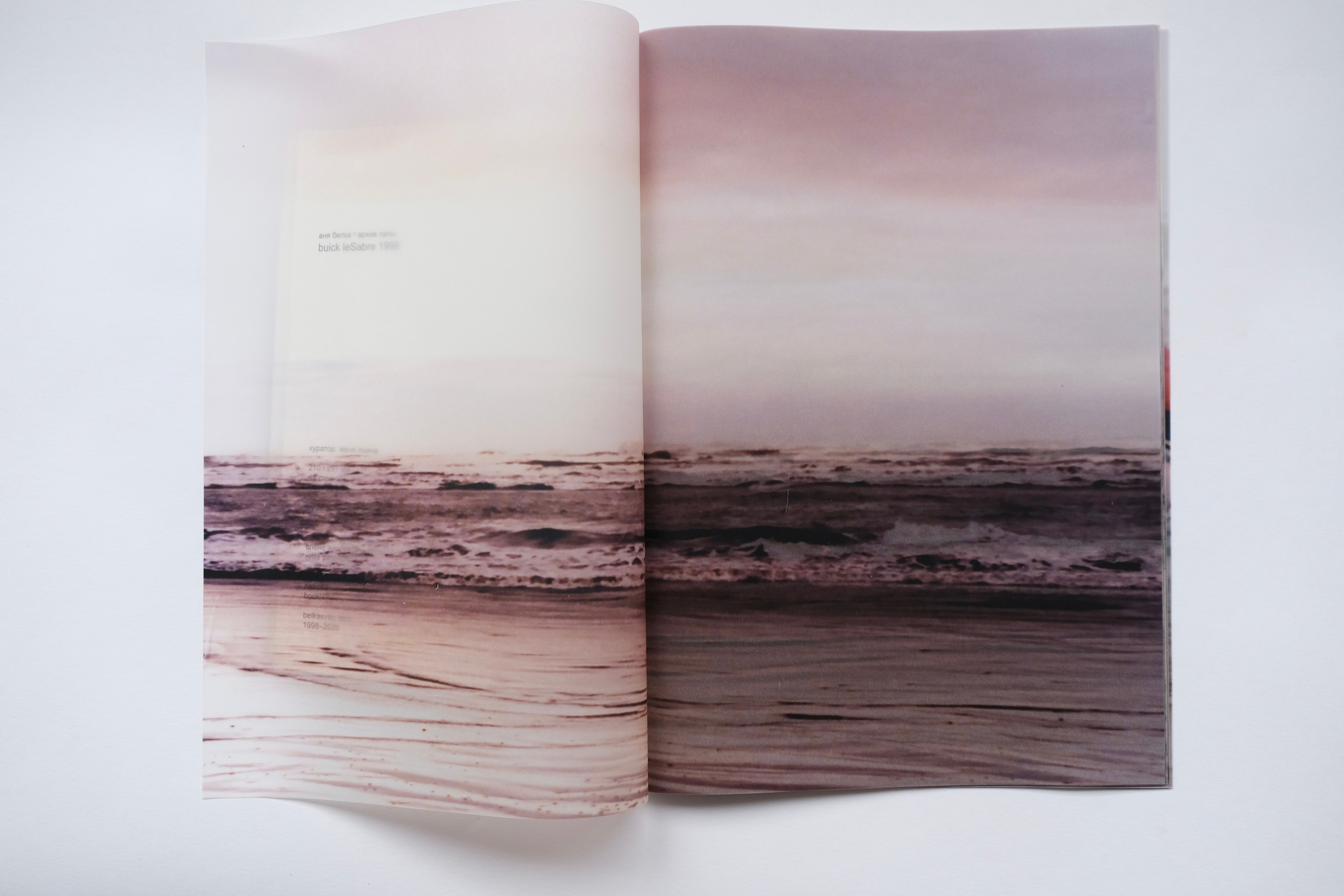 BuickleSabre1998 [зин/work in progress]. Аня белка — художница и фотограф