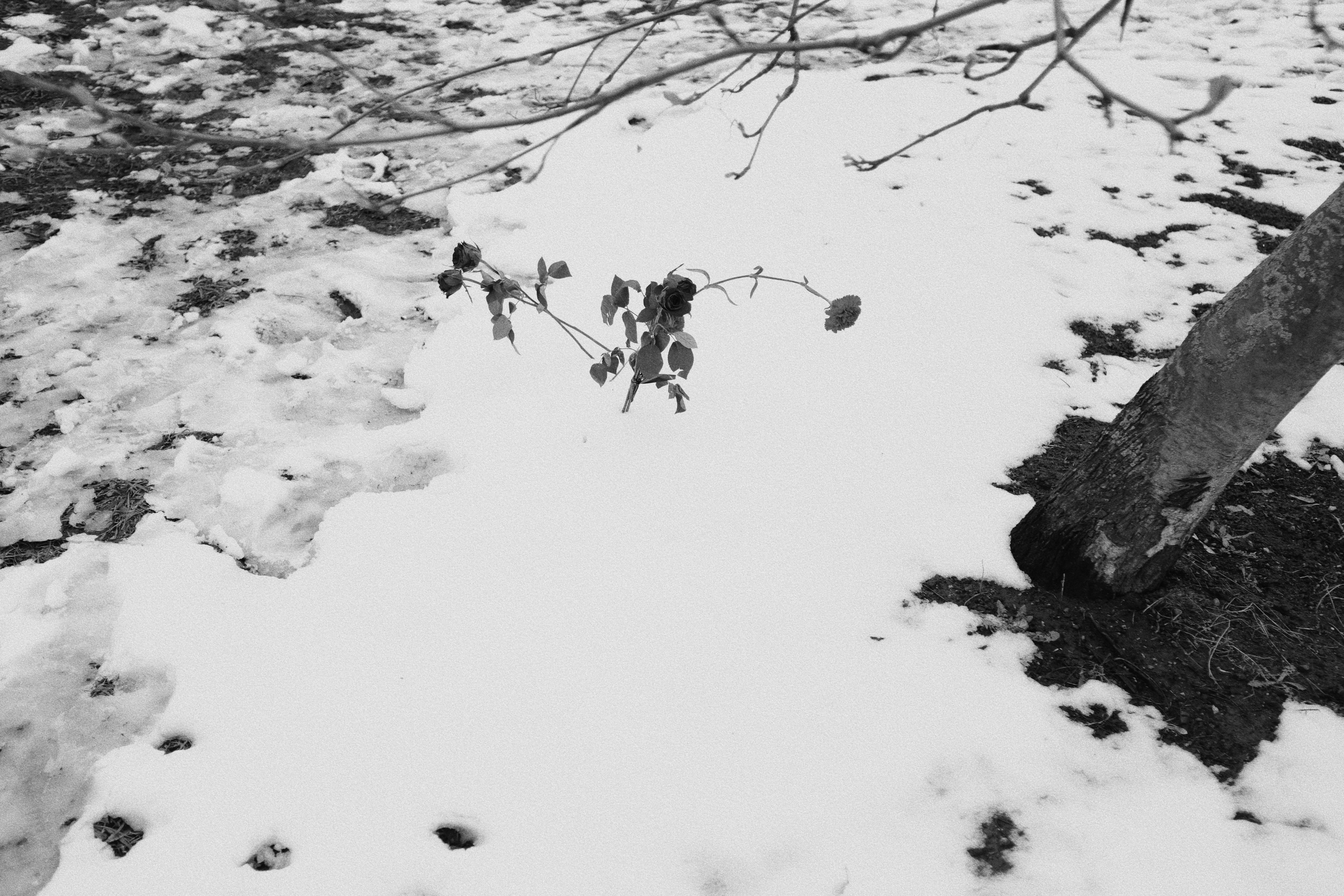 Репортаж. Аня белка — художница и фотограф