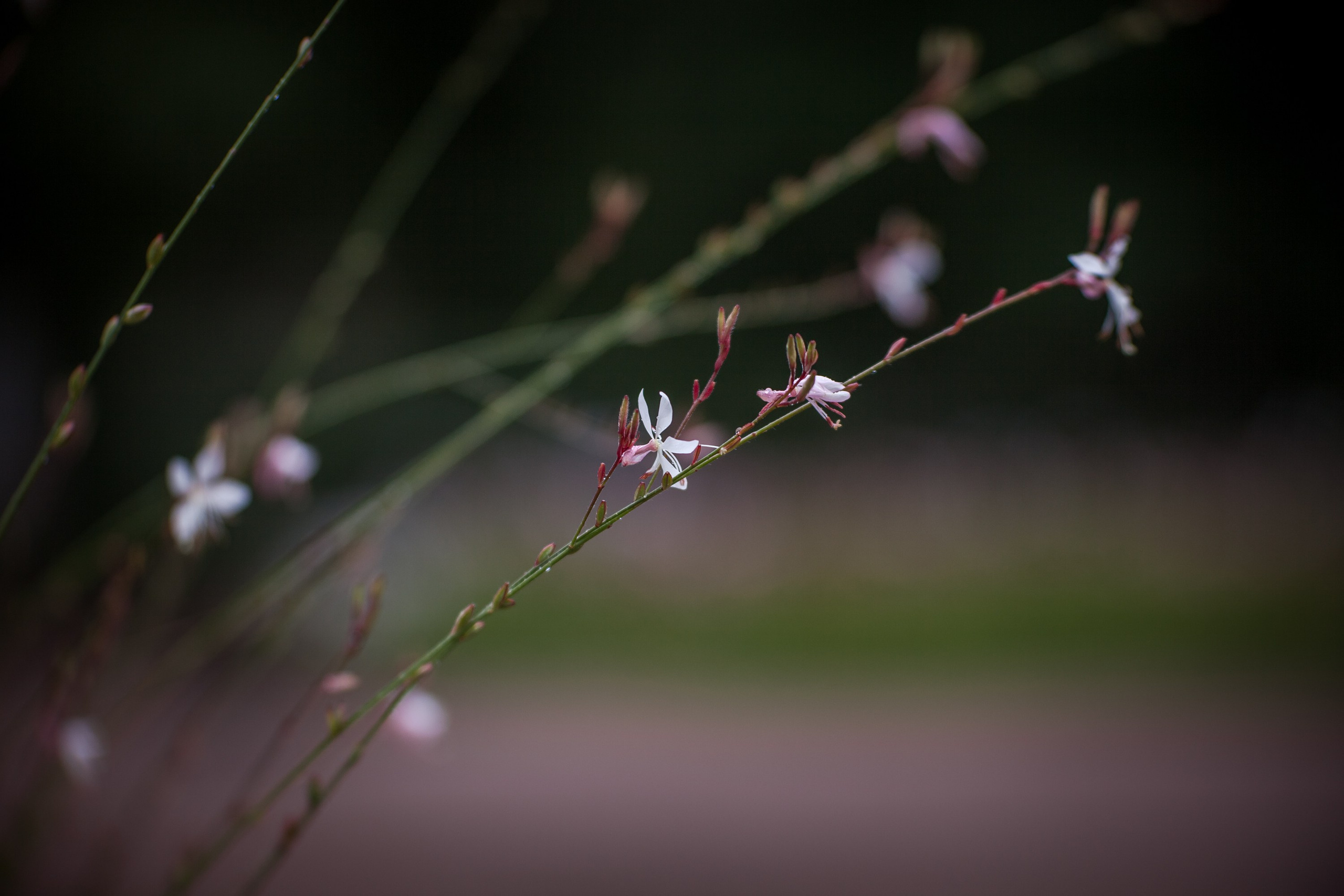 Ландшафтная фотография. Туманов Виталий — фотограф Москва