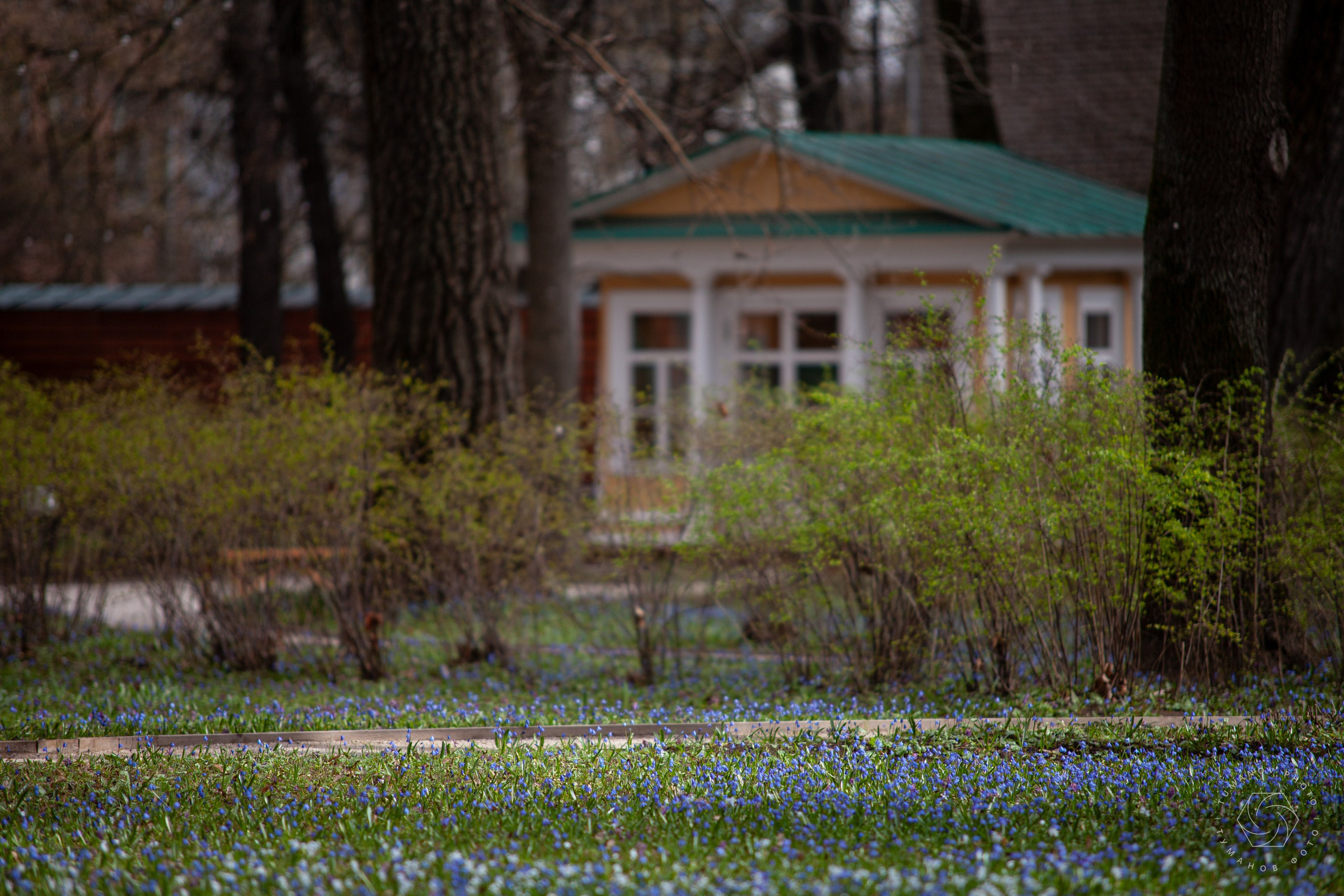 Усадьба Л. Н. Толстого в Хамовниках. Туманов Виталий — фотограф Москва