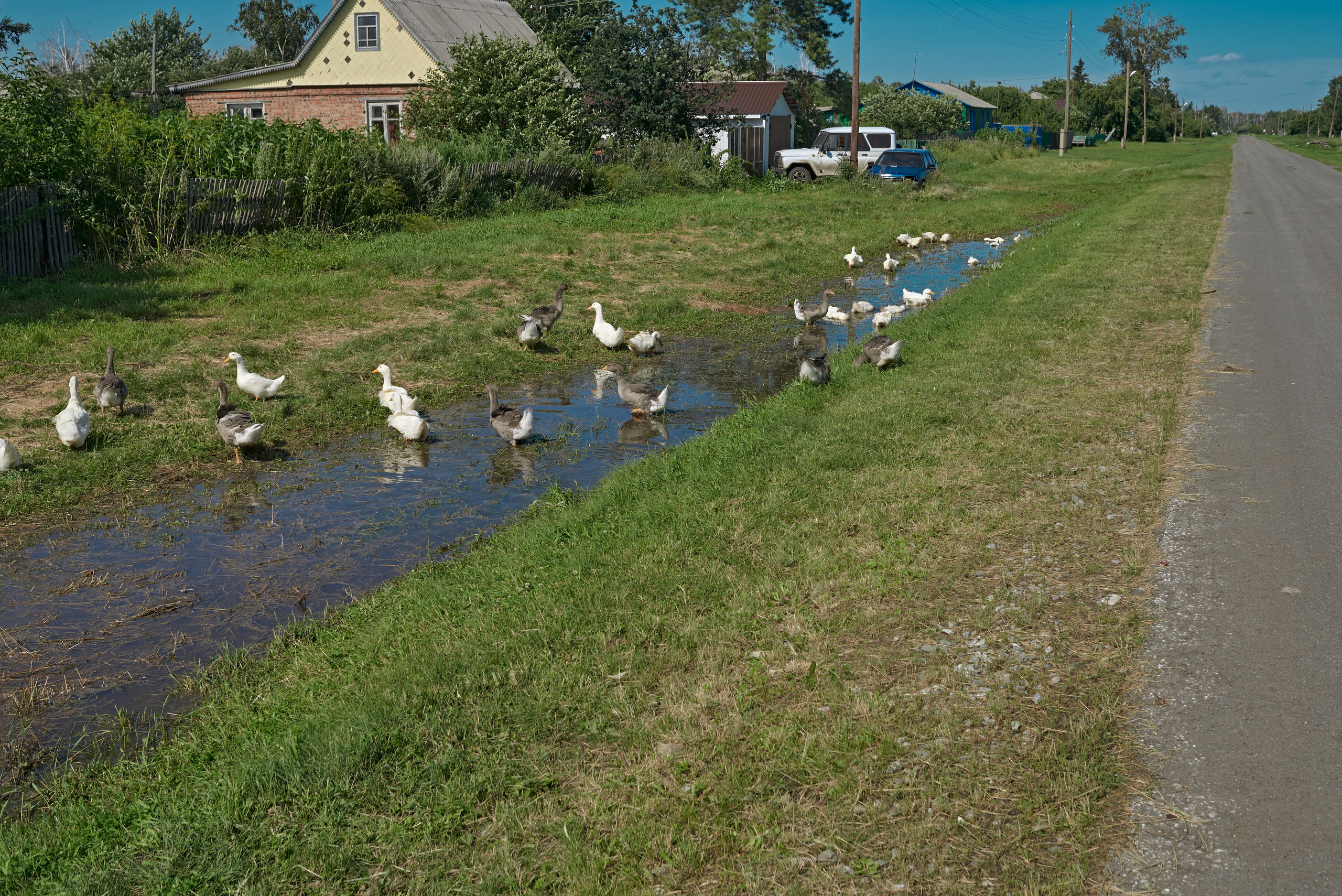 2024. Марфин. Фотограф